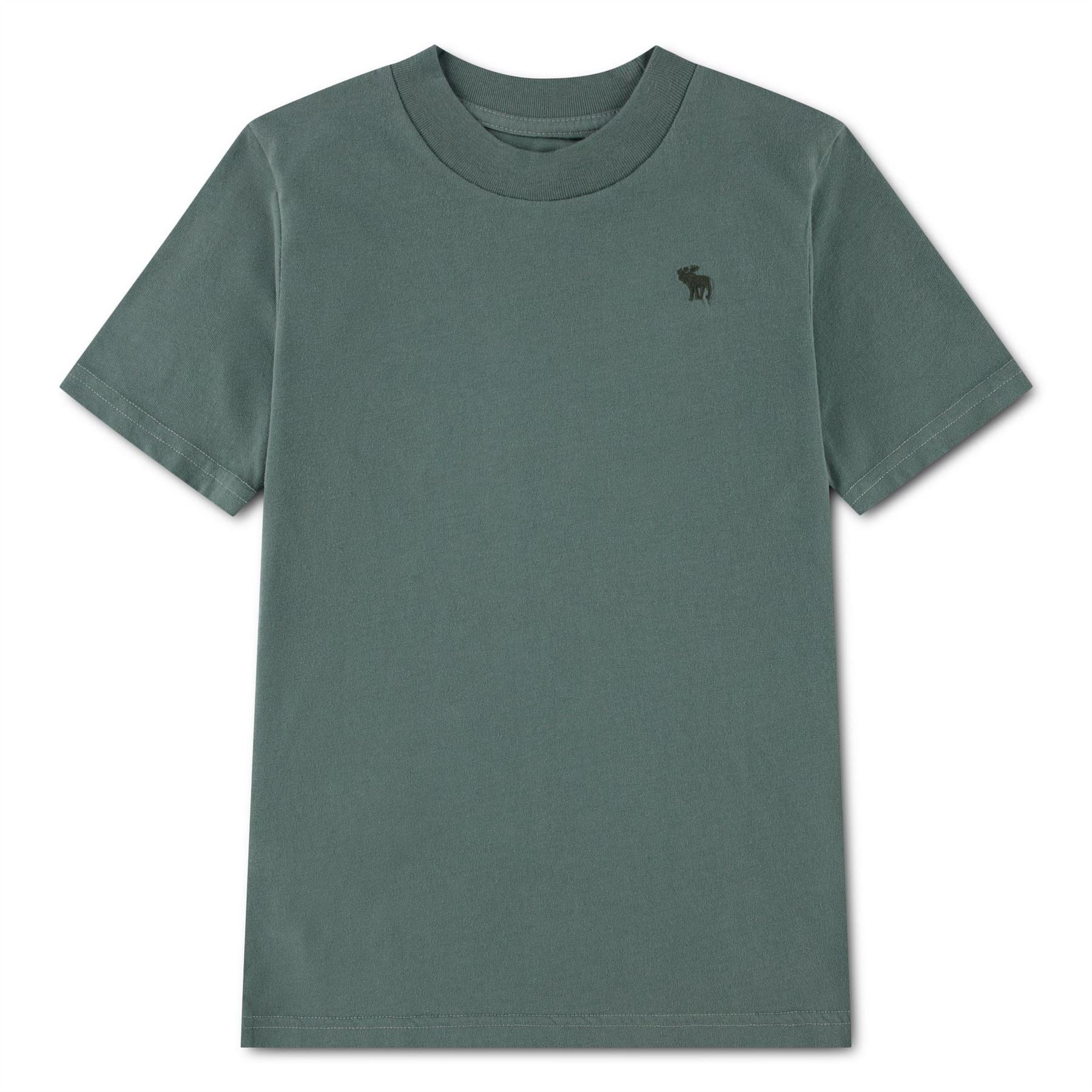 Abercrombie and Fitch And F Sht Sleeve E Jn63