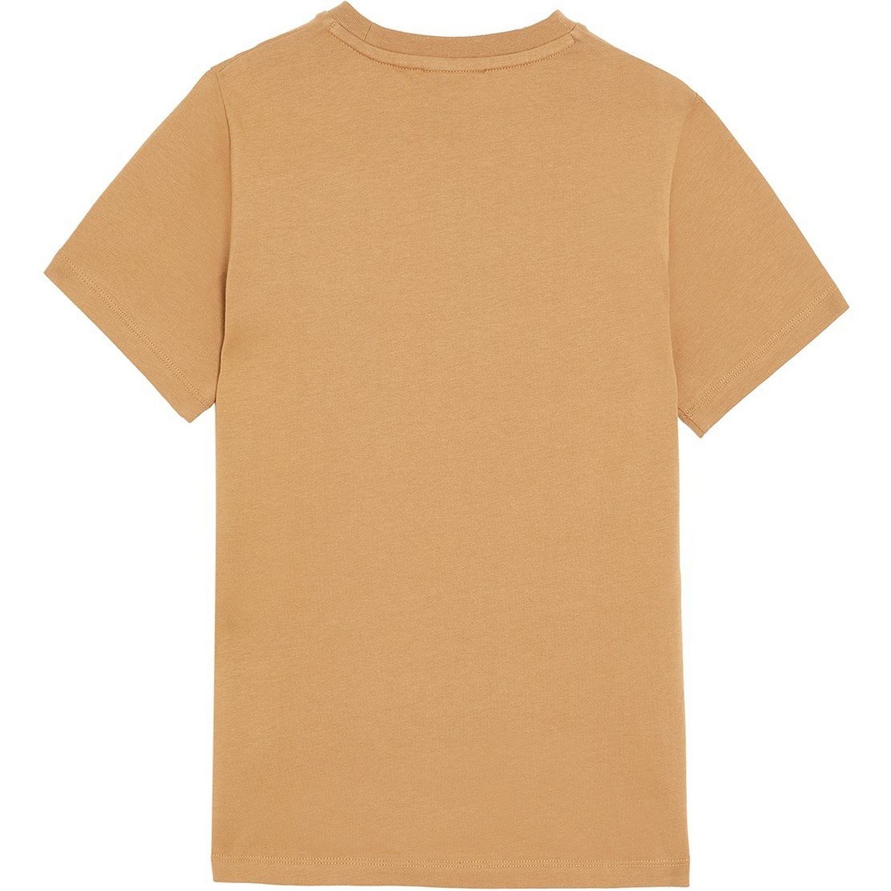 Lyle and Scott Junior Regular Fit Crew Neck T-Shirt