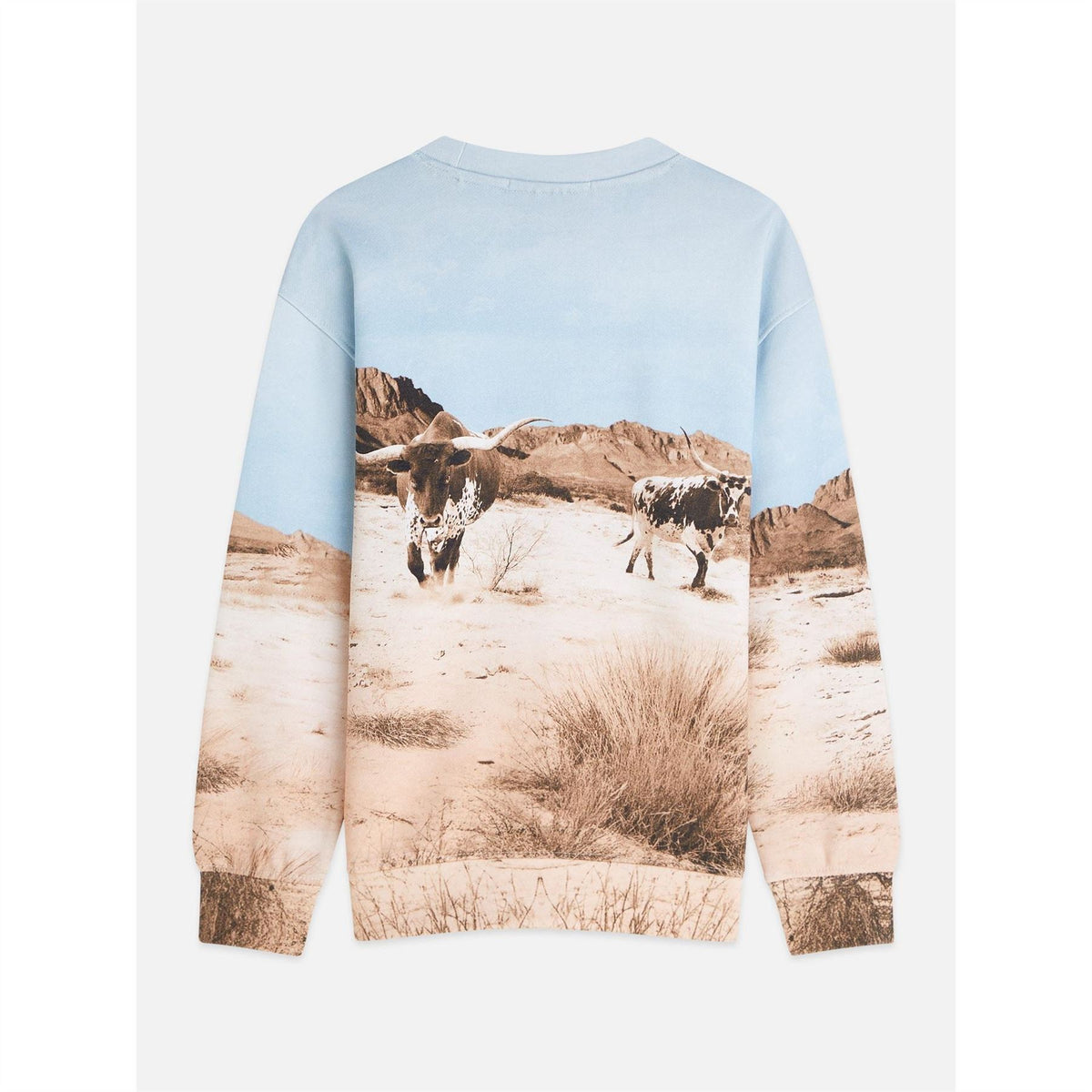 Scotch and Soda Crew Sweatshirt
