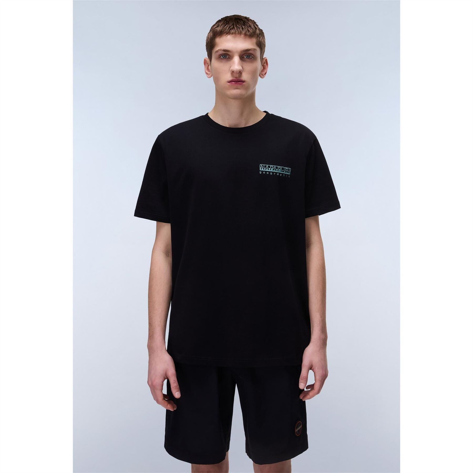 Napapijri Vignoni Geographic Print Regular Fit Crew Neck Short Sleeve T-Shirt