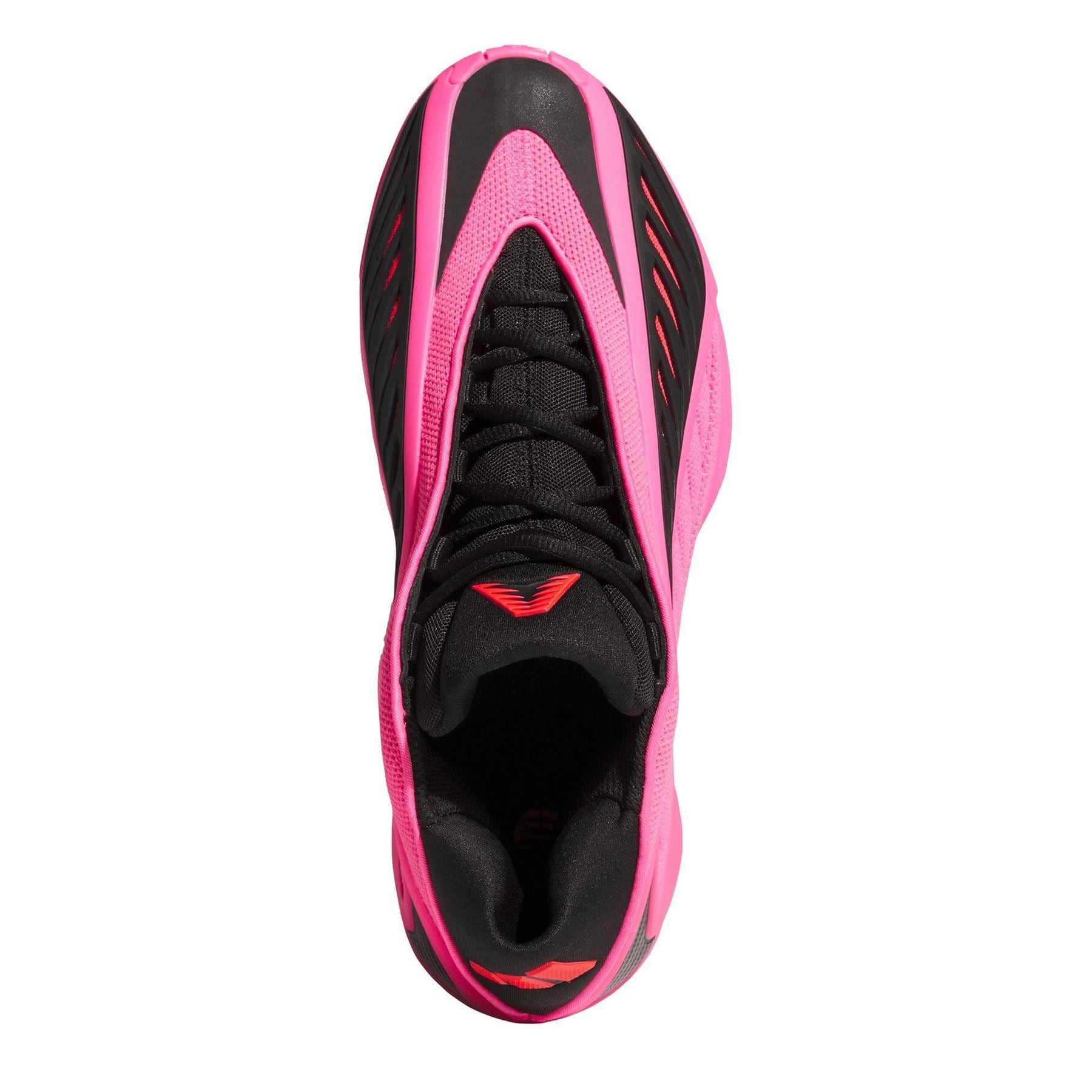 adidas Anthony Edwards 2 Low Top Lace-Up Sneakers