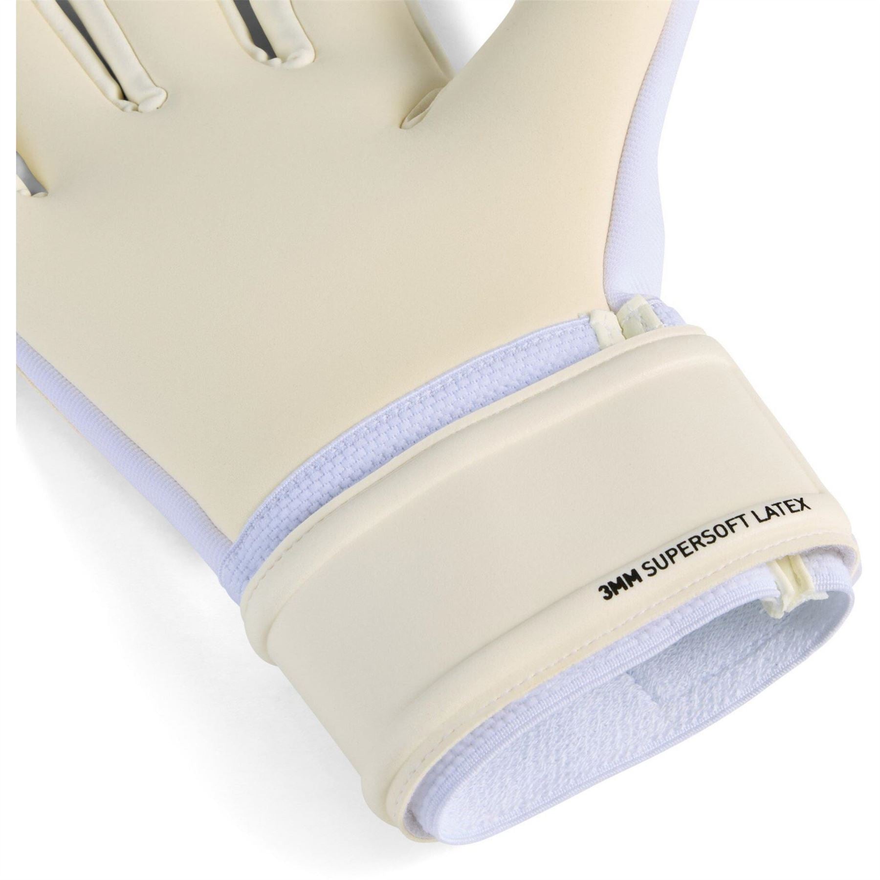Puma Future Match Goalkeeper Gloves Adults