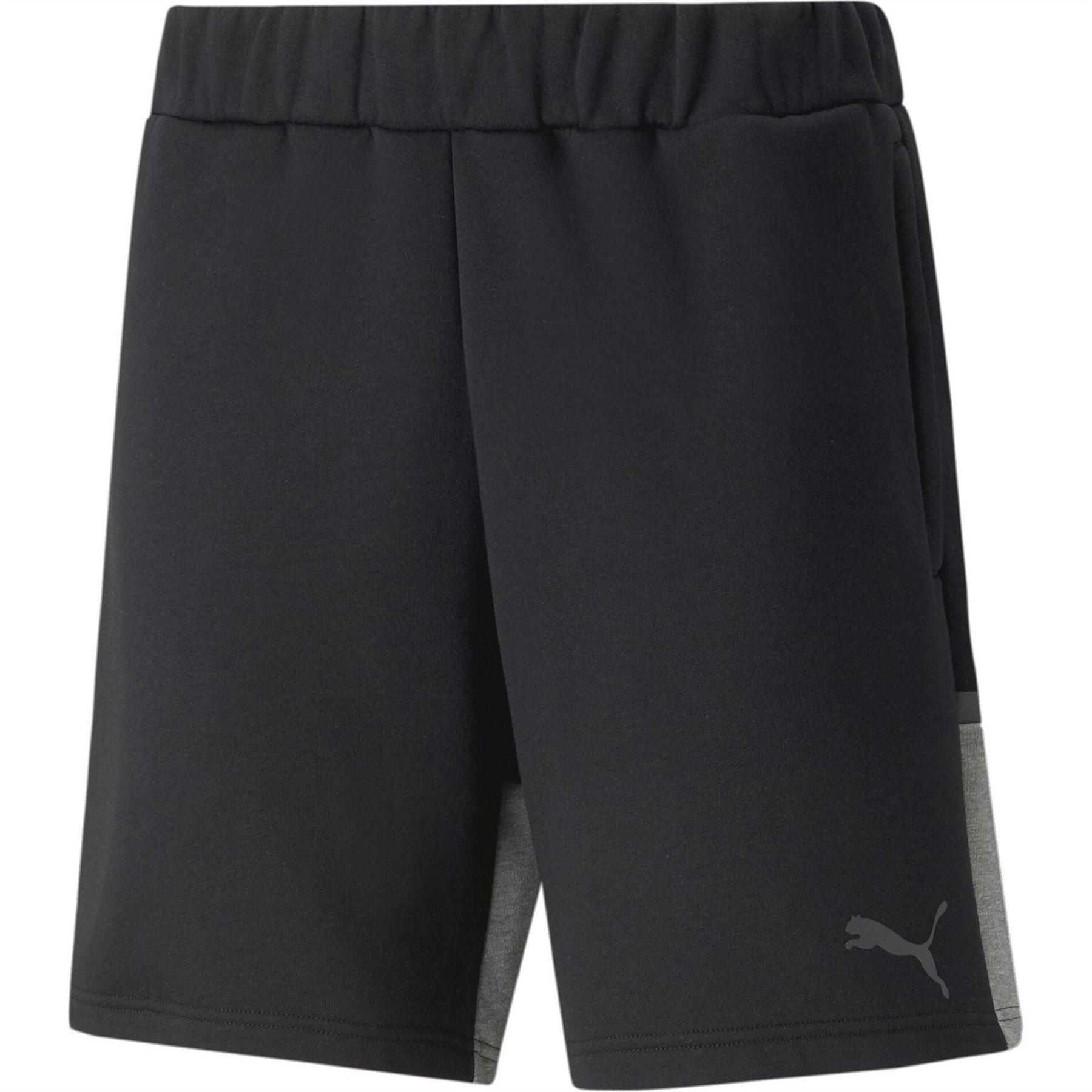 Puma Mens Teamcup Casuals Shorts Football Shorts