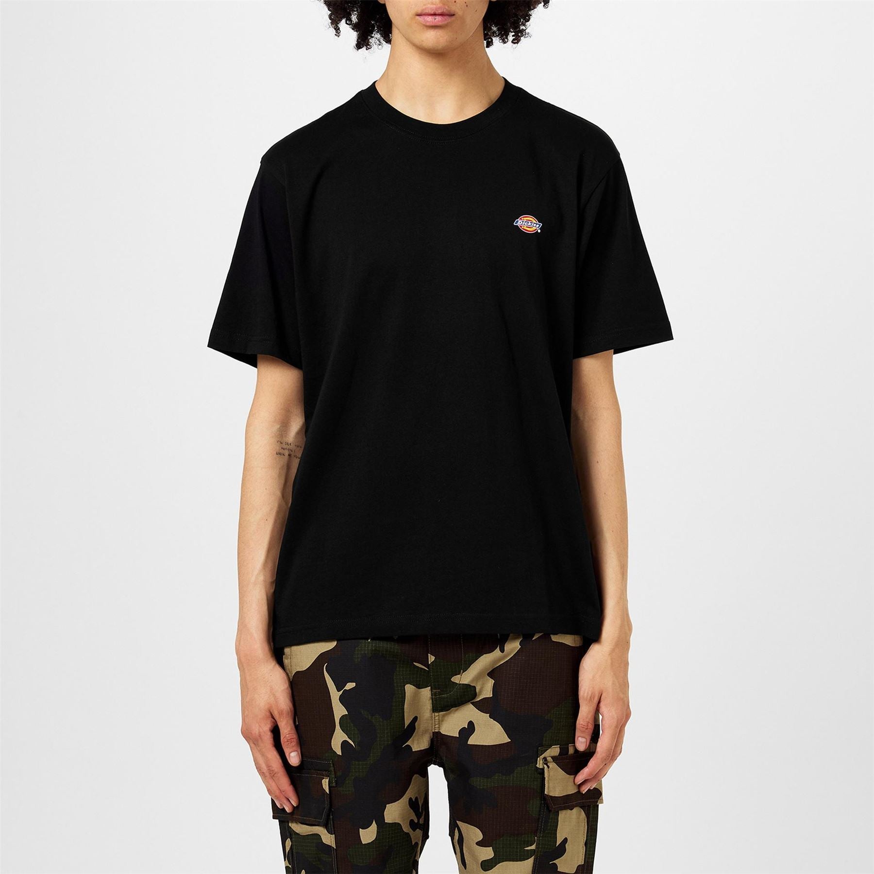 Dickies Regular Fit Mapleton T-Shirt