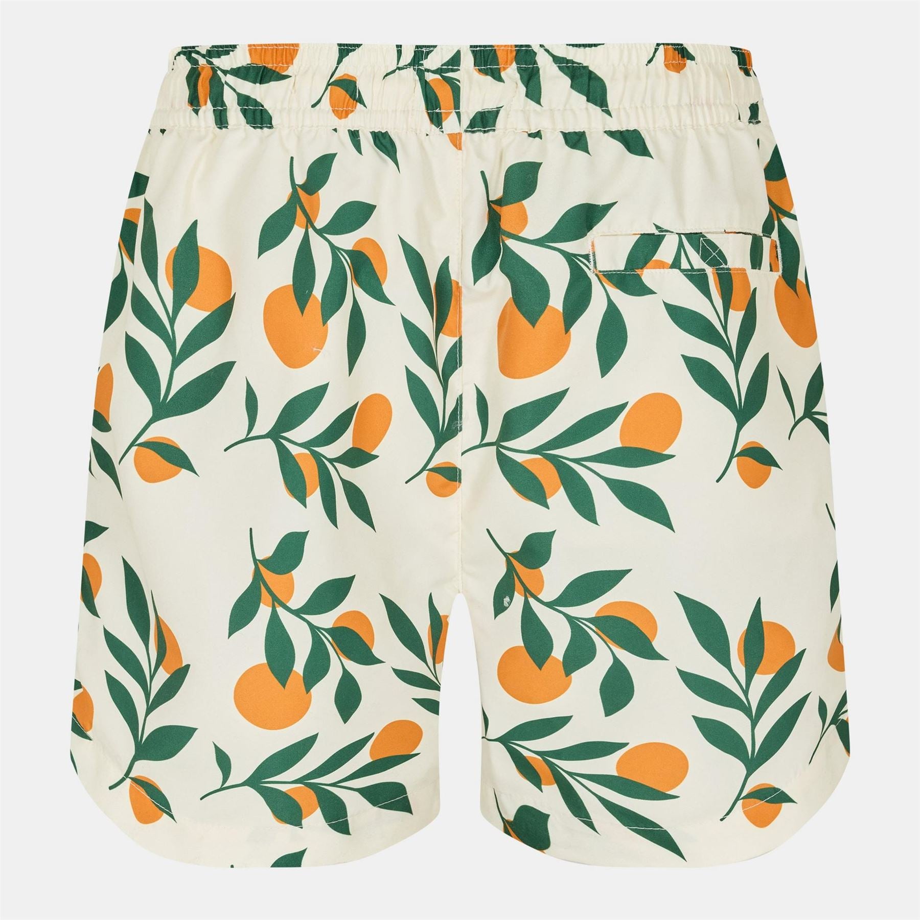 Threadbare Regular Fit Fruit Patterned Swim Shorts