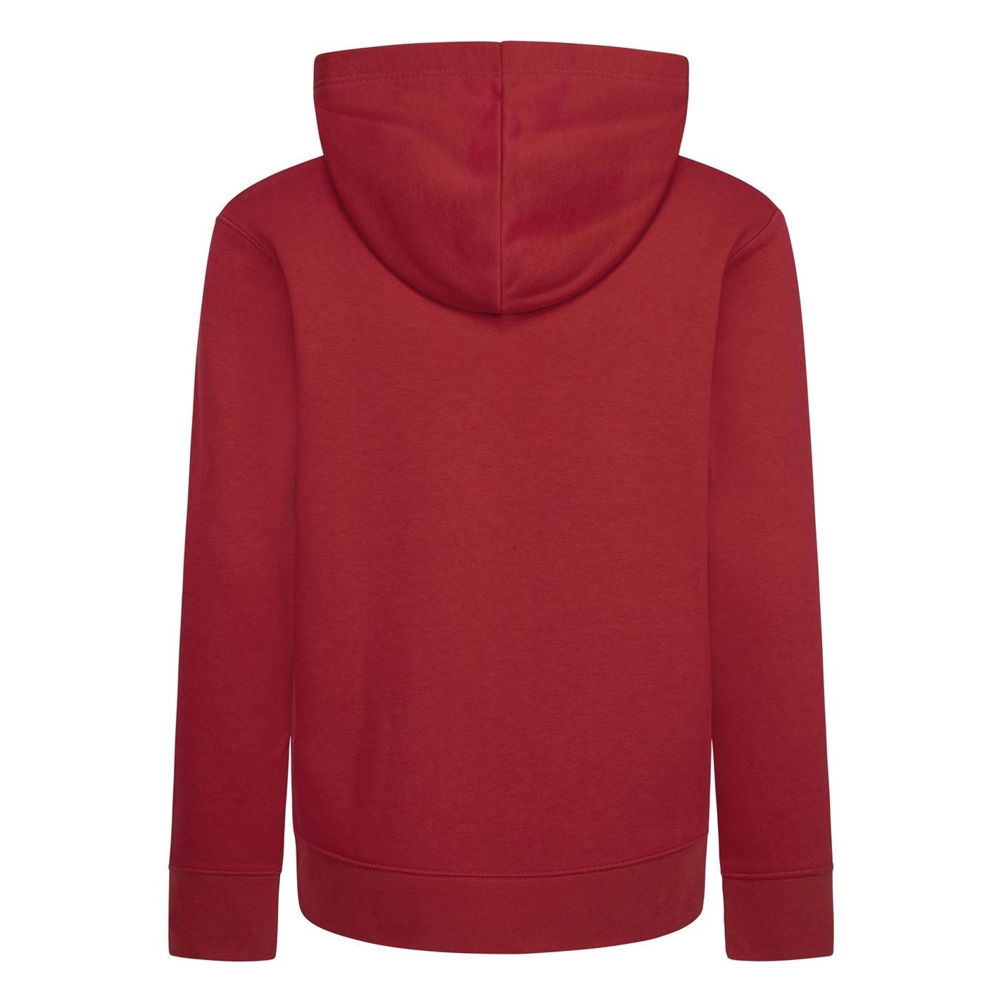 Air Jordan Fleece Hoodie Junior Boys