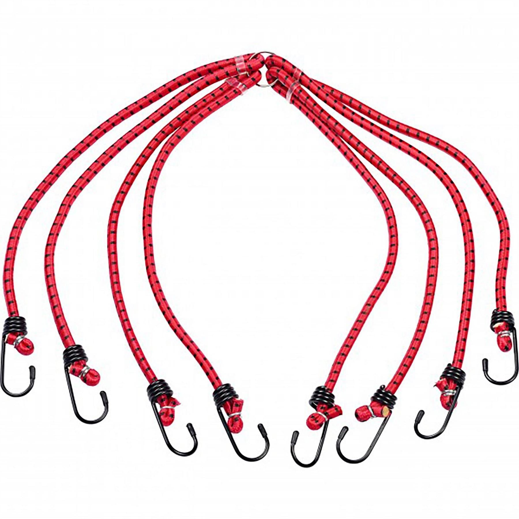 Dekton 6 Arm Spider Bungee Cord