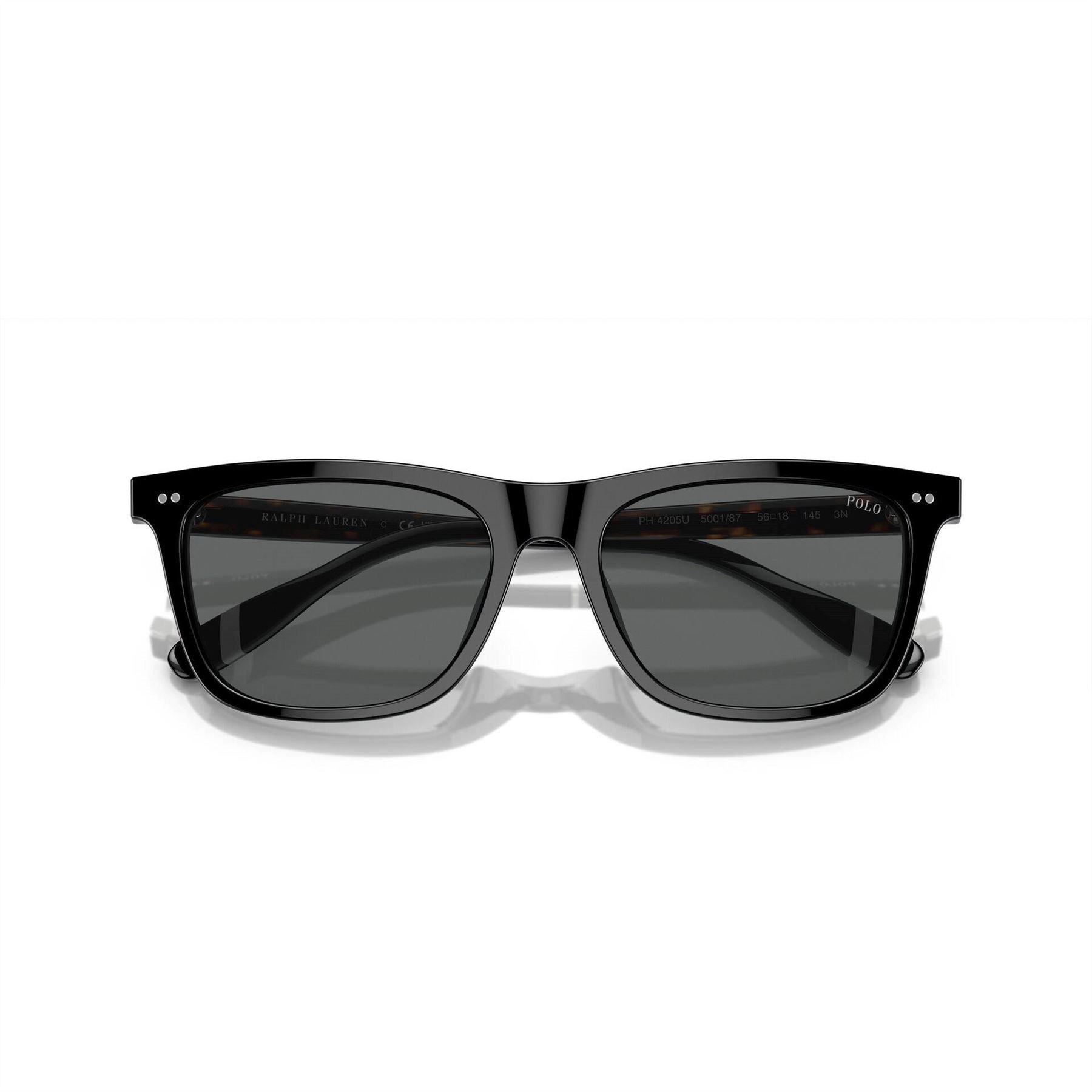 Polo Ralph Lauren PH4205 Rectangle Full Rim Sunglasses