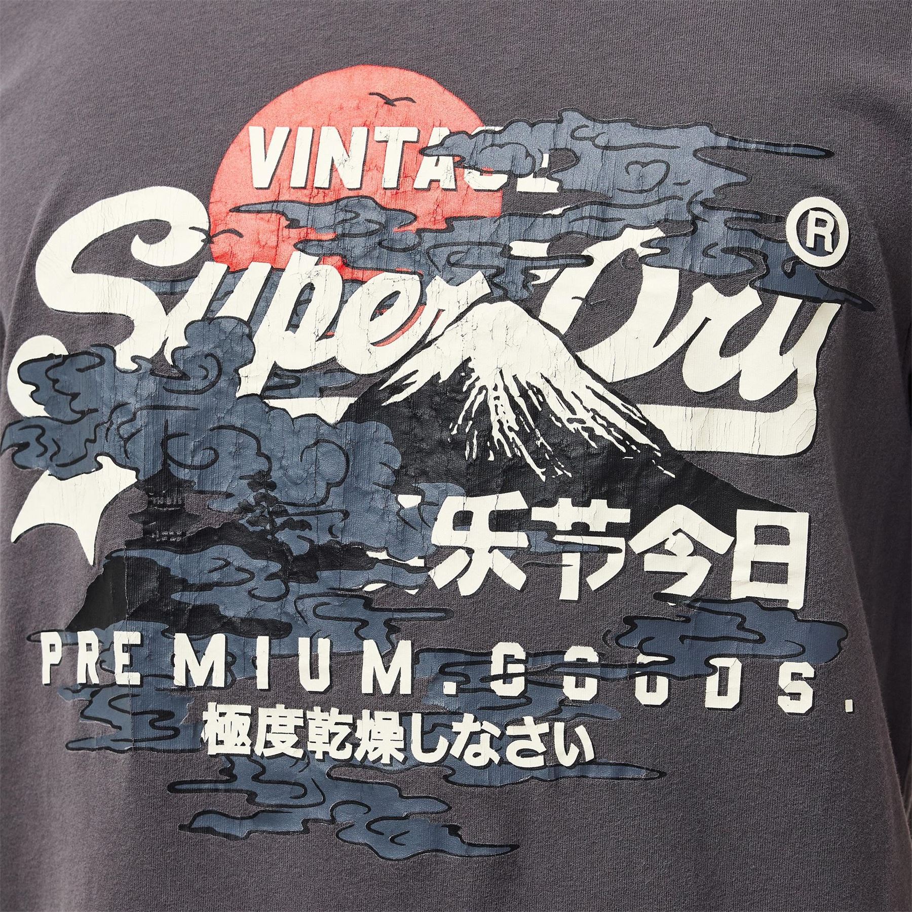 Superdry Tokyo Graphic Regular Fit T-Shirt