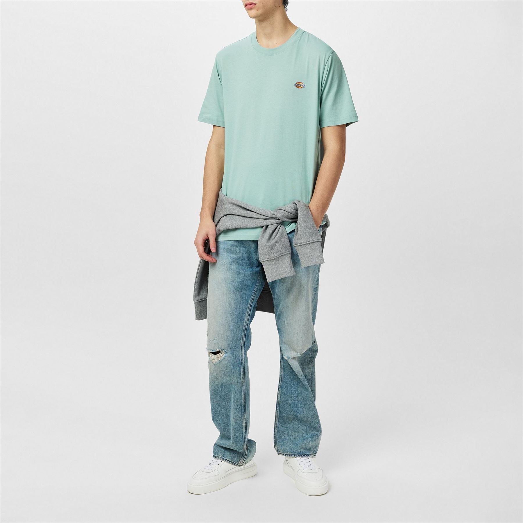 Dickies Regular Fit Mapleton T-Shirt