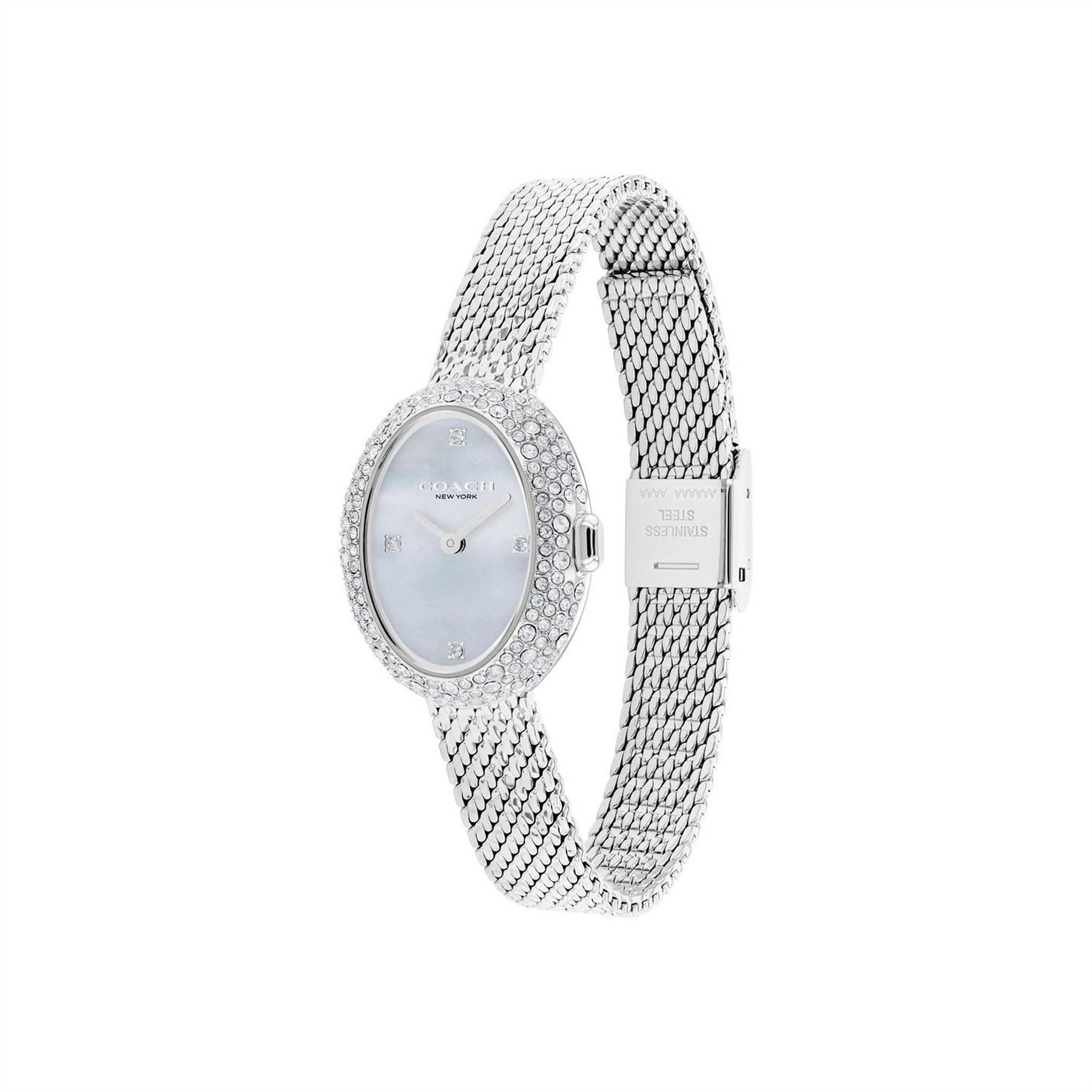 Coach Mesh Watch
