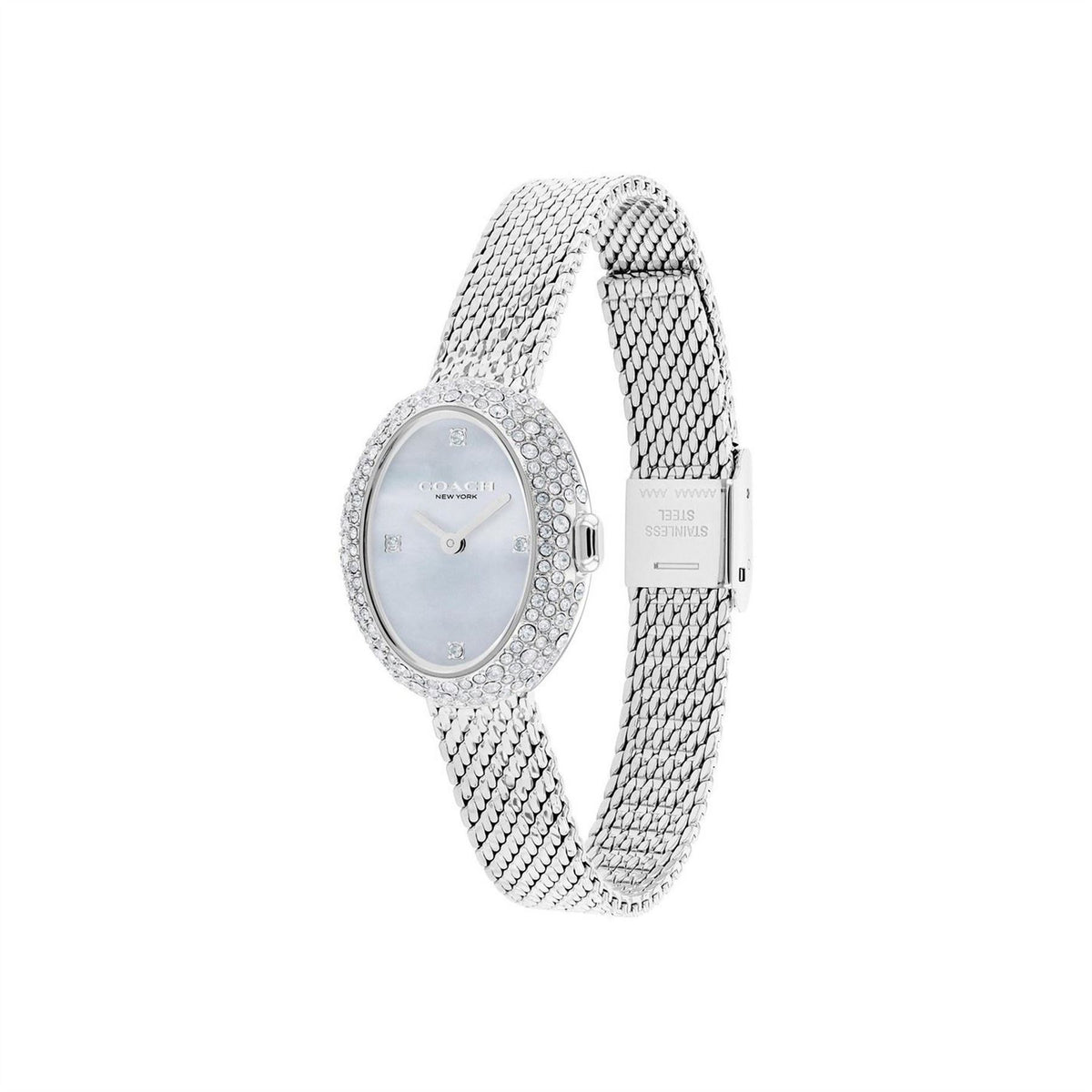 Coach Mesh Watch