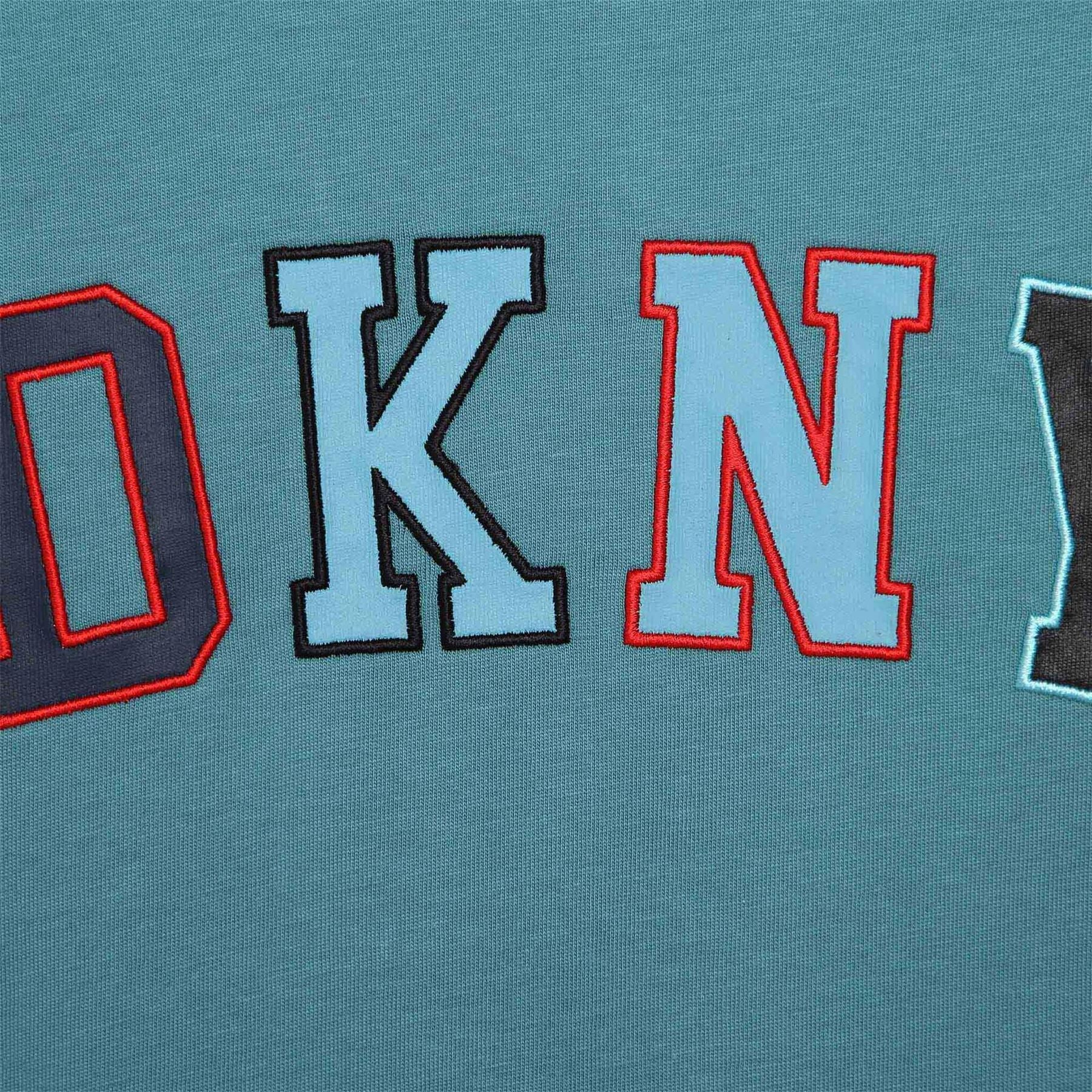 DKNY Regular Fit Crew Neck Lettering T-Shirt