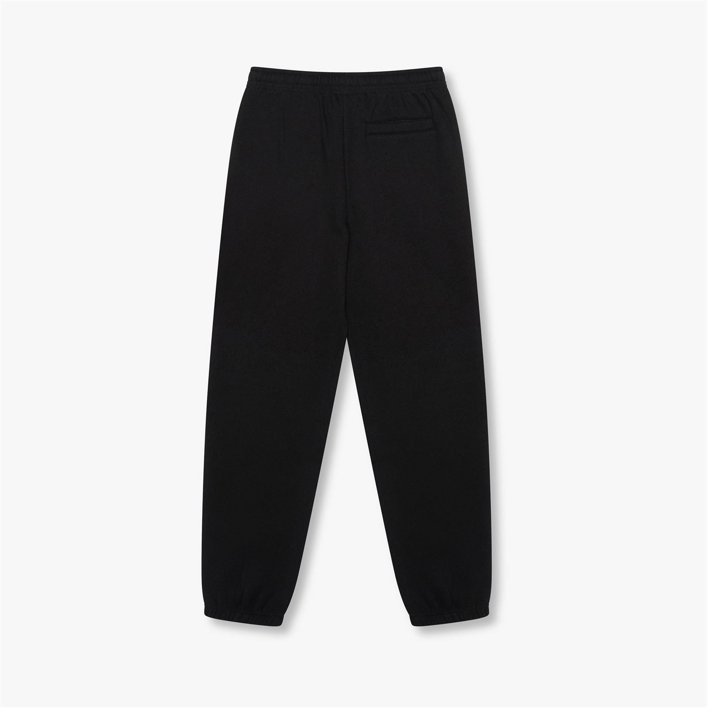 Beast Core Jogger
