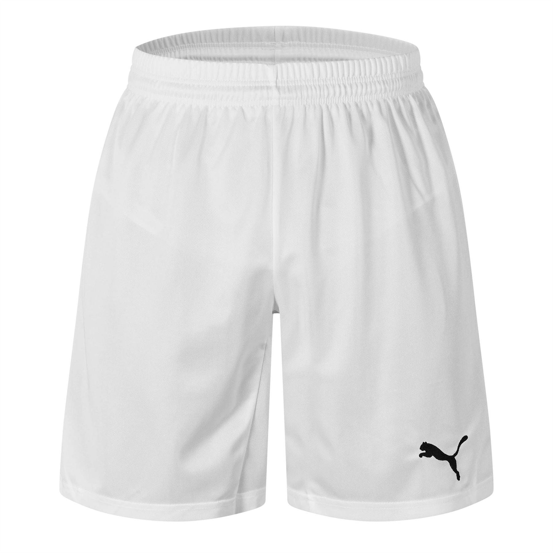 Puma Mens Fb Team Shorts With Brief