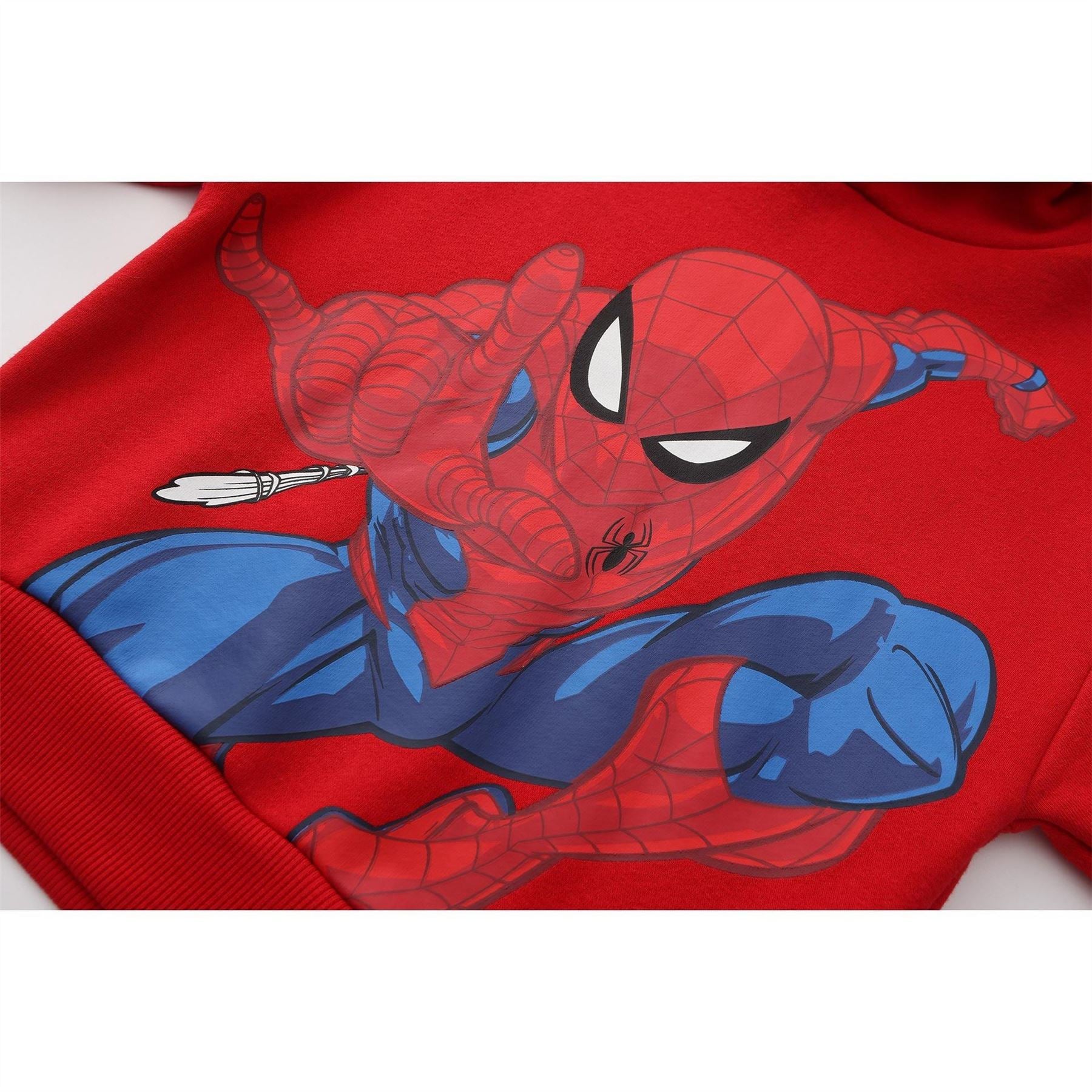 Character Fleece Lined Hoodie For Boys