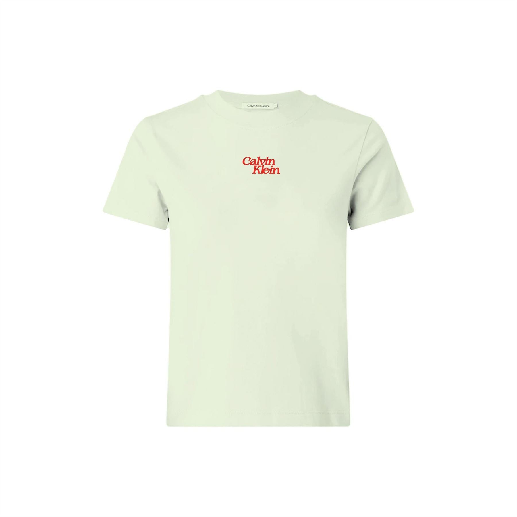 Calvin Klein Jeans Short Sleeve Flocked Logo Cotton Regular Fit T-Shirt