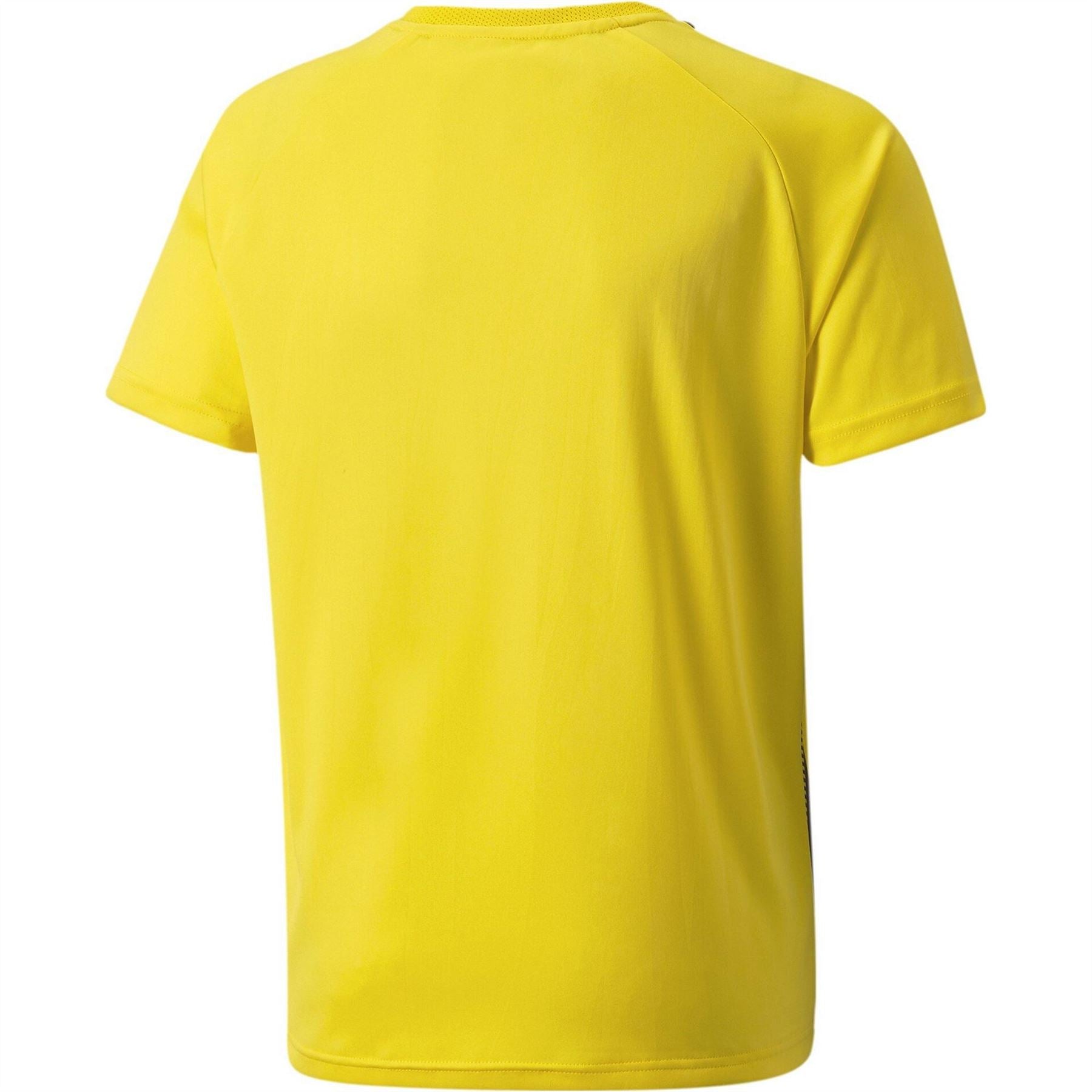 Puma Teamliga Striped Jersey Jr T-Shirt Unisex Kids