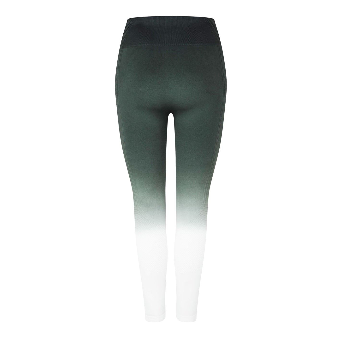 USA Pro Seamless Ombre Leggings