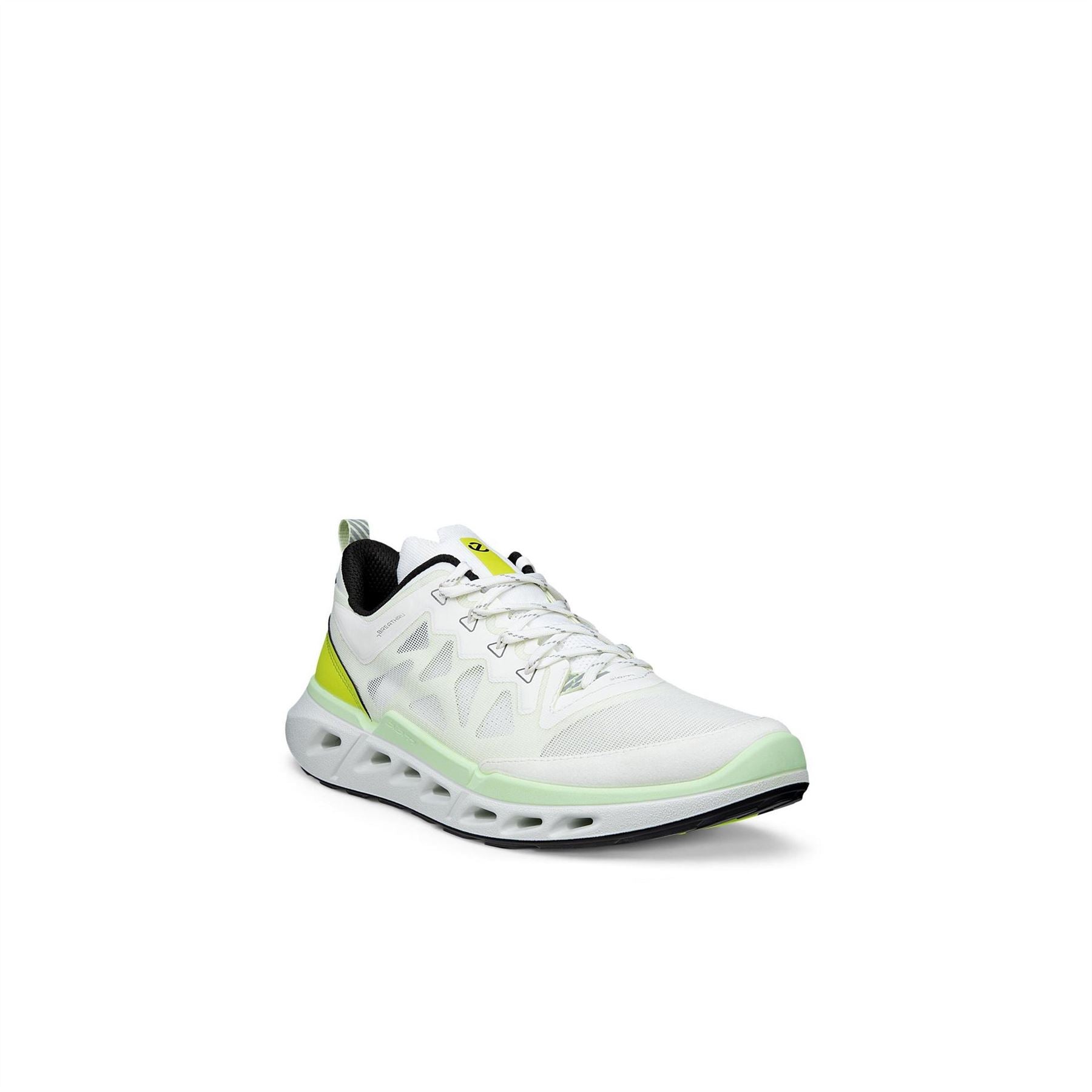 Ecco Biom 720 Sn62