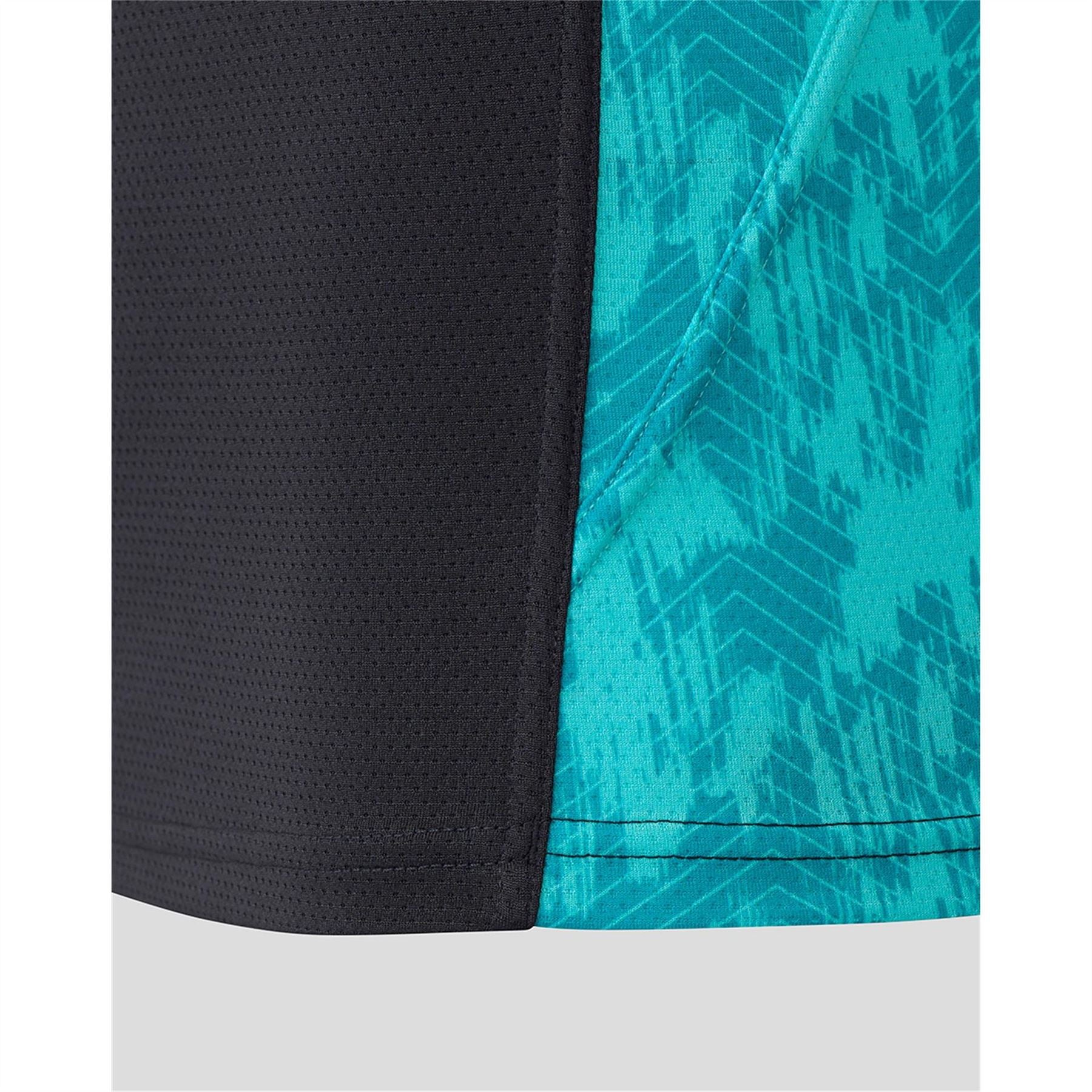 Castore Leinster Players T-Shirt Senior 25 26