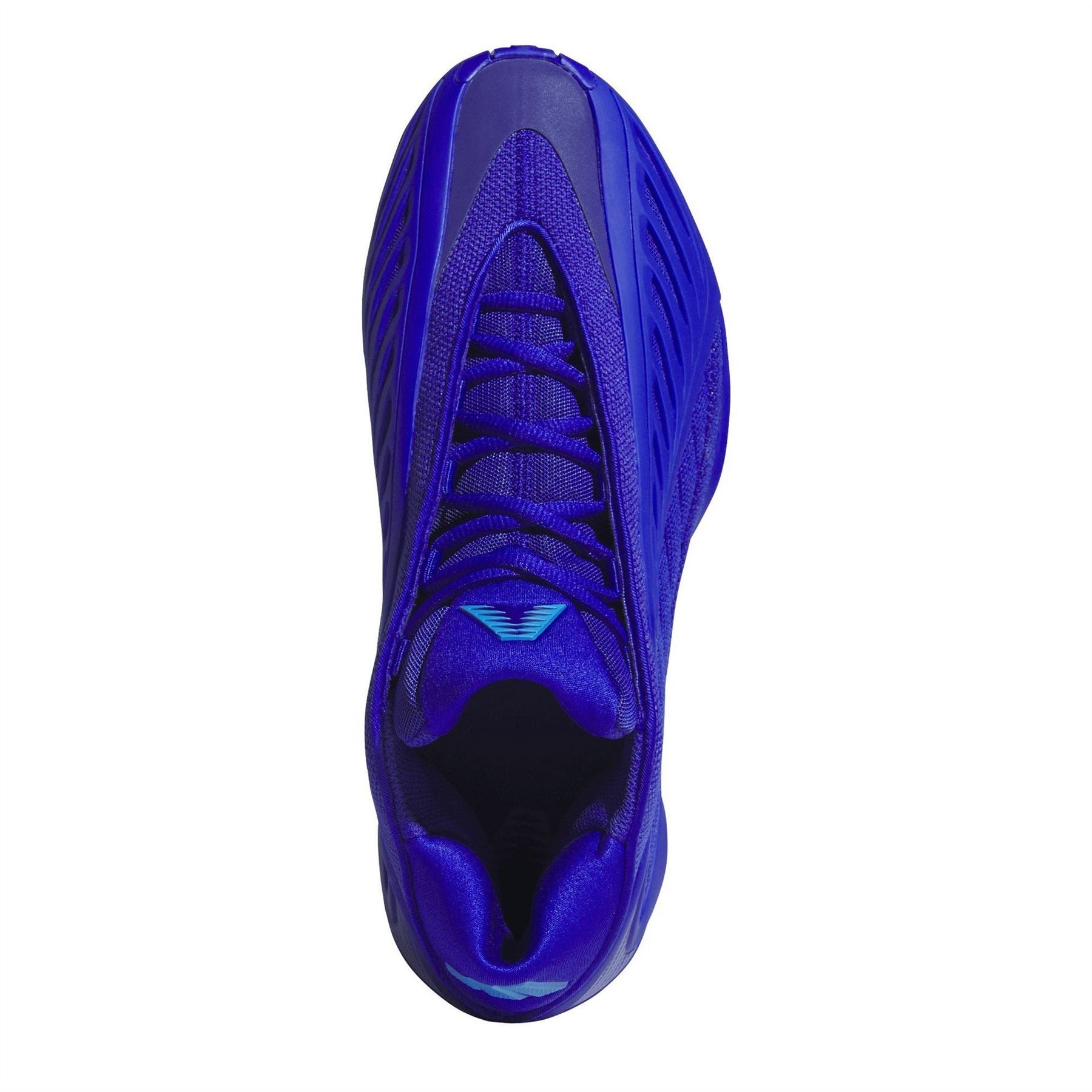 adidas Anthony Edwards 2 Low Top Lace-Up Sneakers