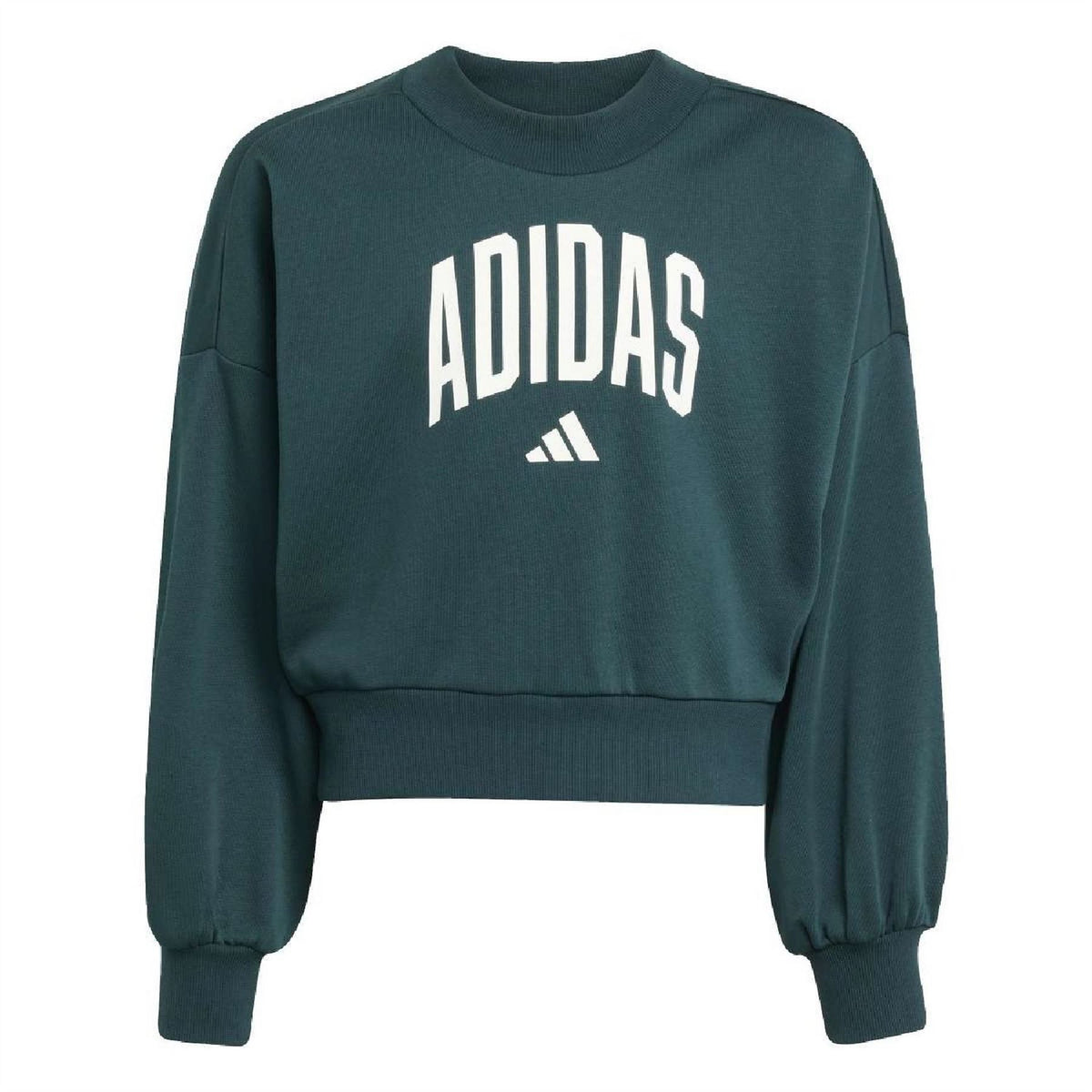 adidas Seasonal Essentials Collegiate Typography Sweatshirt