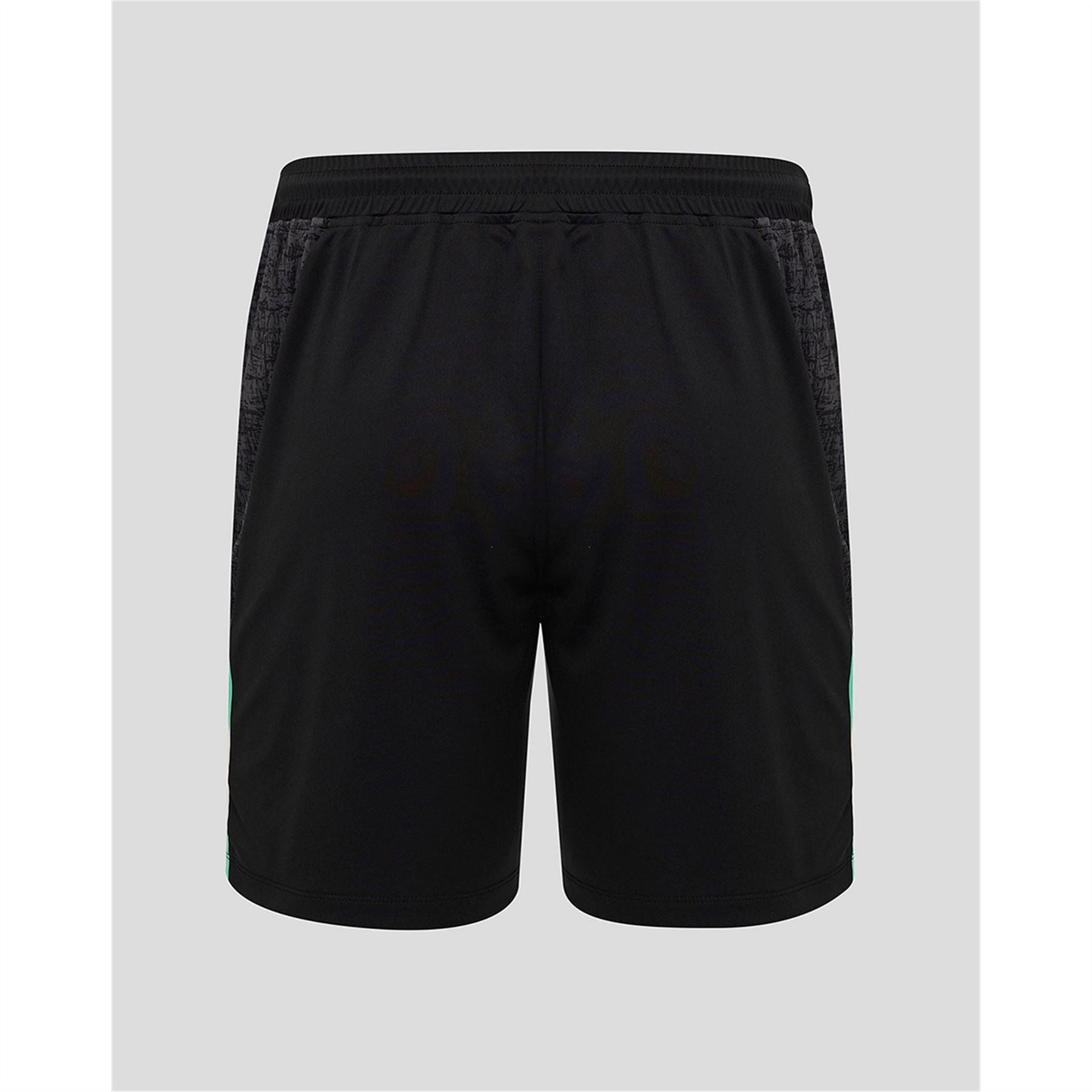 Castore Ireland Training Shorts 2025 Adults