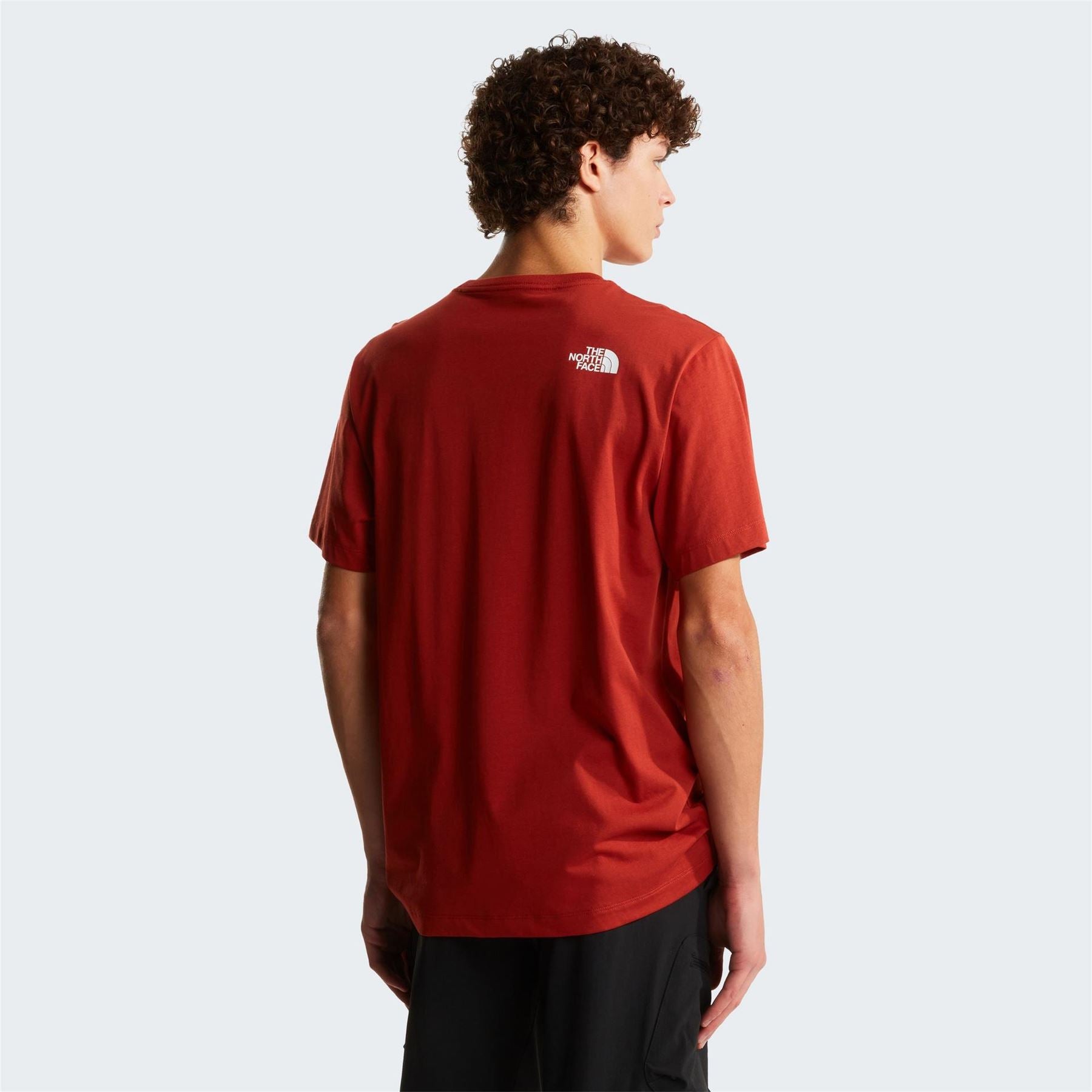 The North Face Mens Regular Fit Short Sleeve T-Shirt
