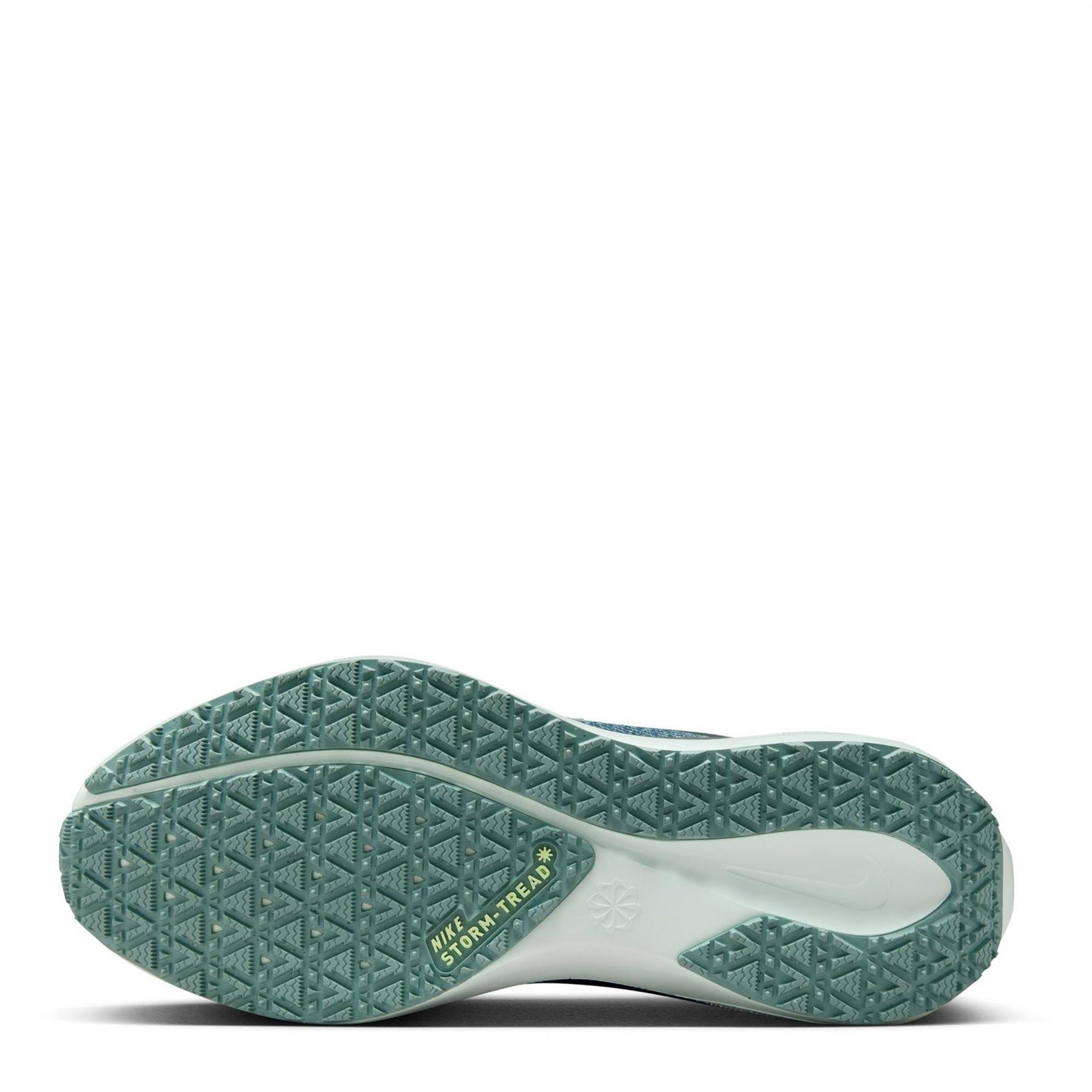 Nike Womens Pegasus 41 Gore Tex Waterproof Road Running Shoes