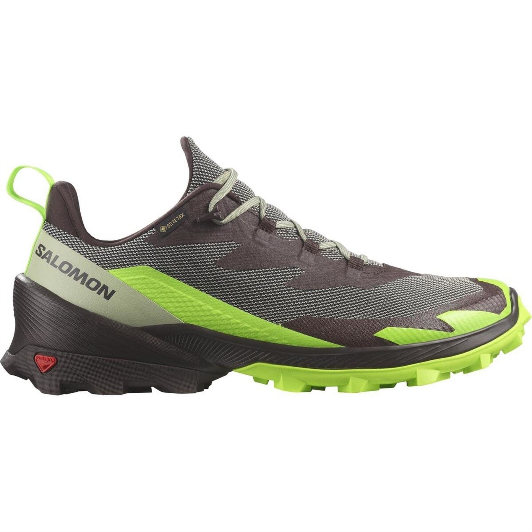 Salomon Mens 2 GorE-Tex Walking Shoe