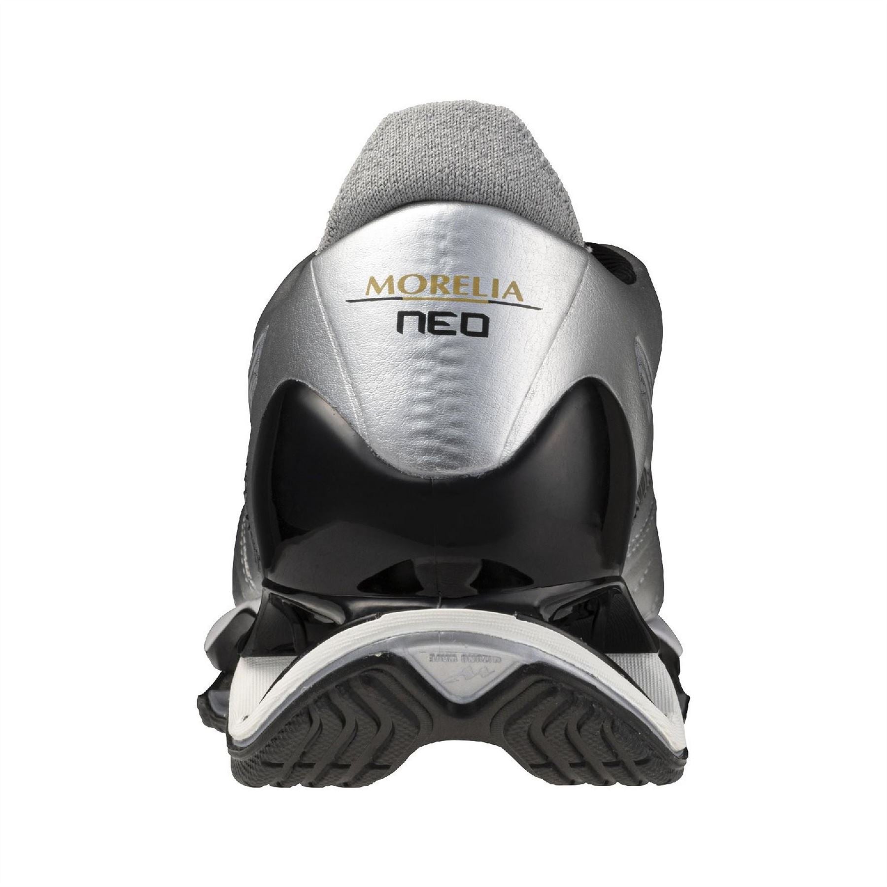 Mizuno Wave Prophecy