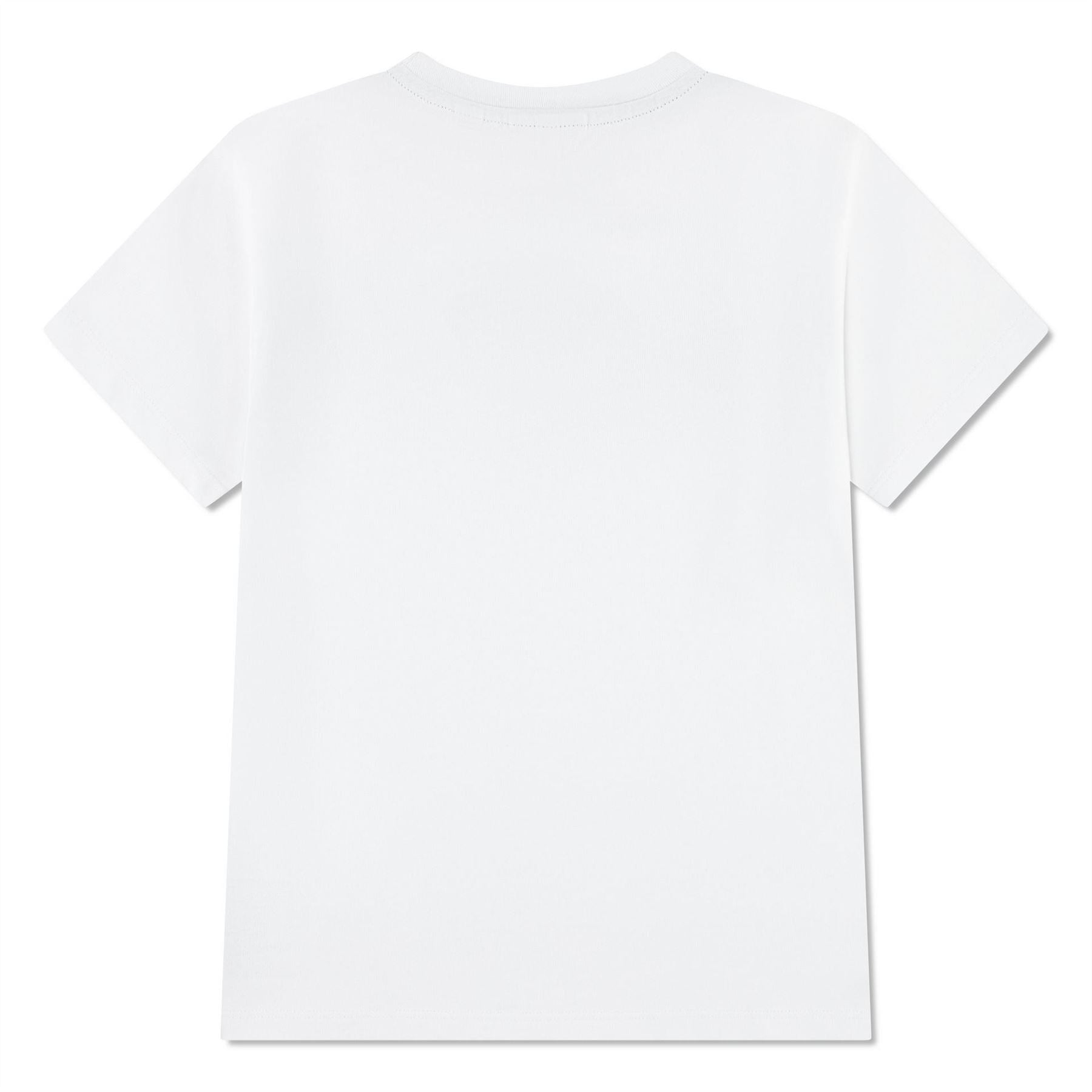 Lacoste Regular Fit Stripe T-Shirt