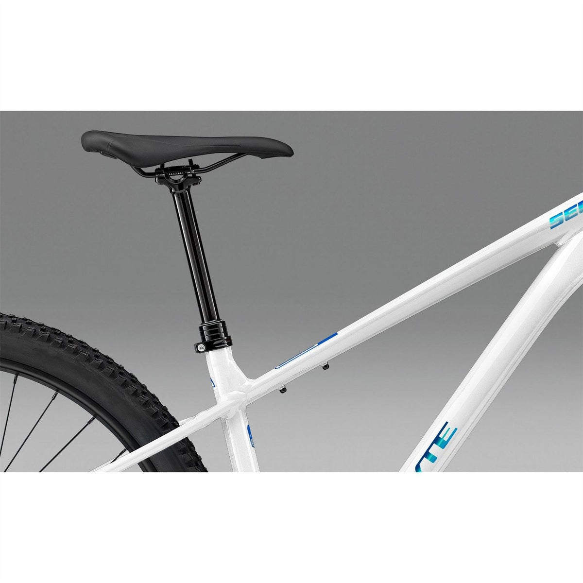 Whyte Secta R 2026 Mountain Bike
