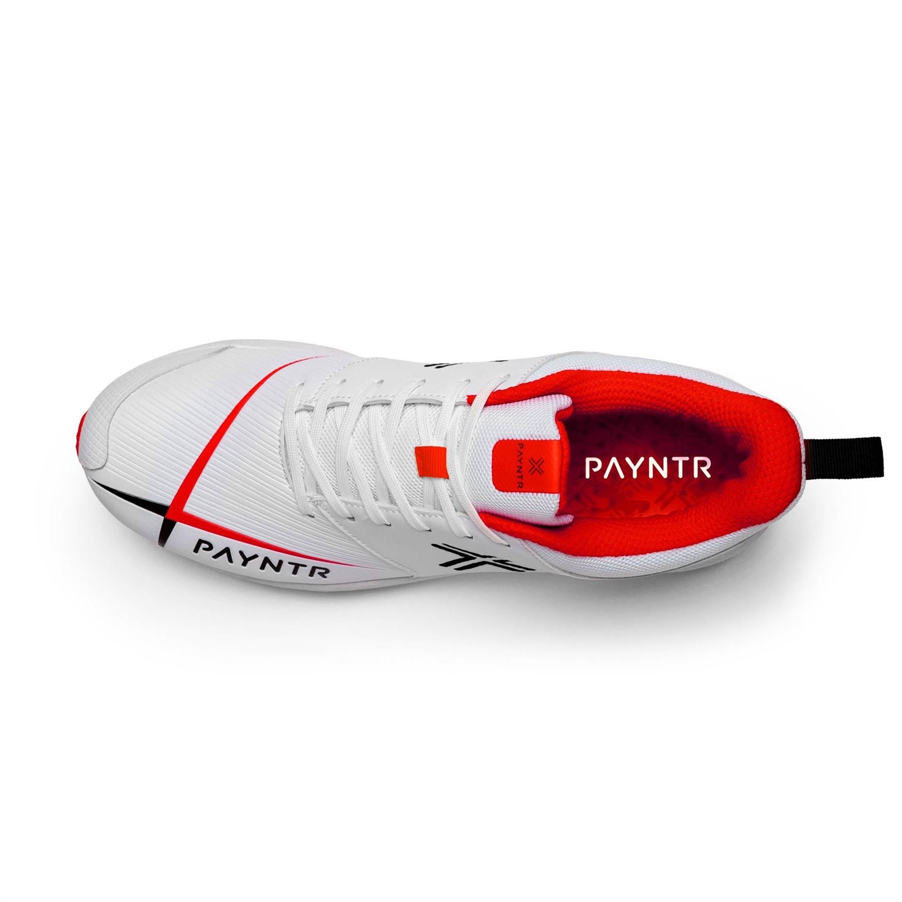 Payntr Mens V Cricket Spikes