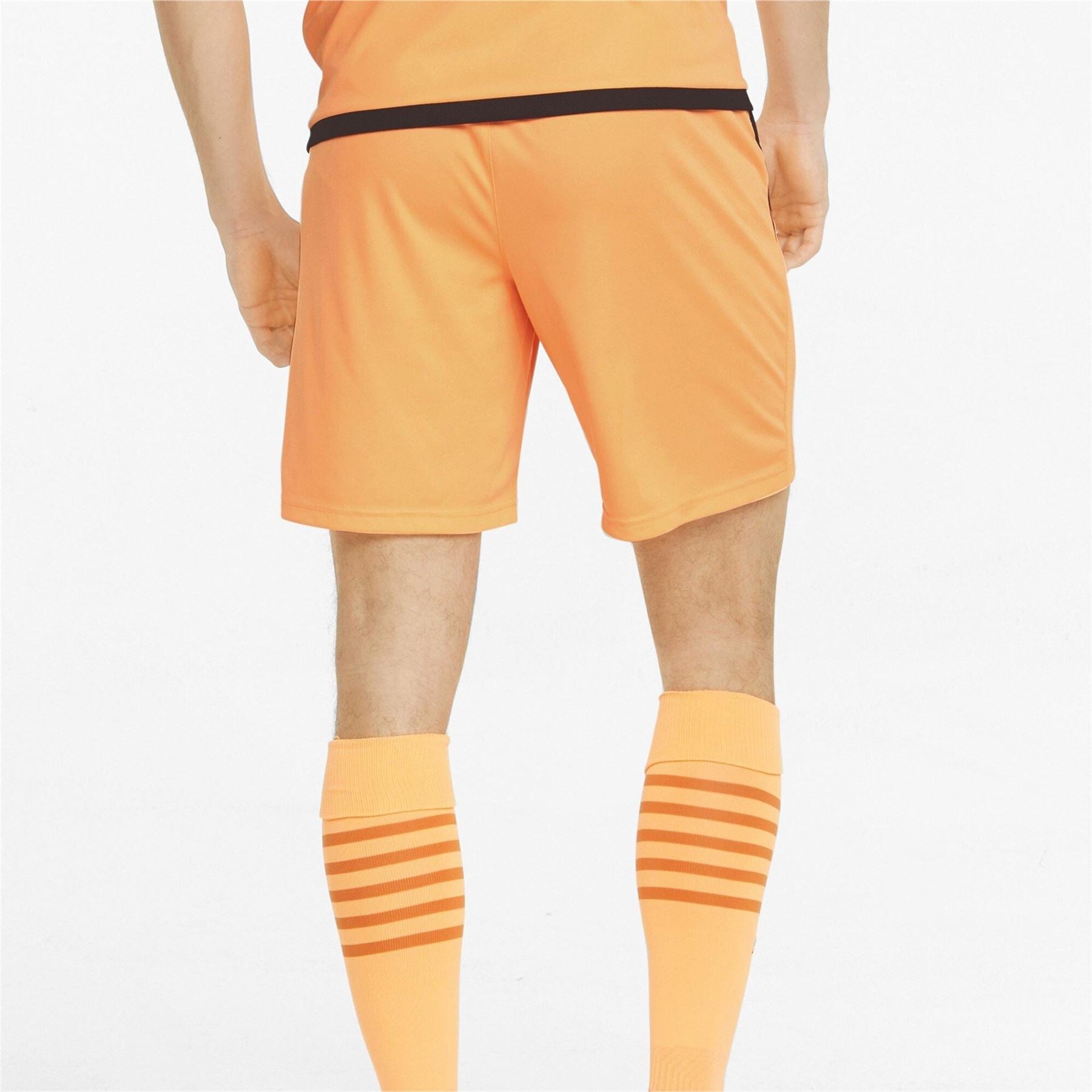 Puma Mens Teamliga Shorts Football Shorts