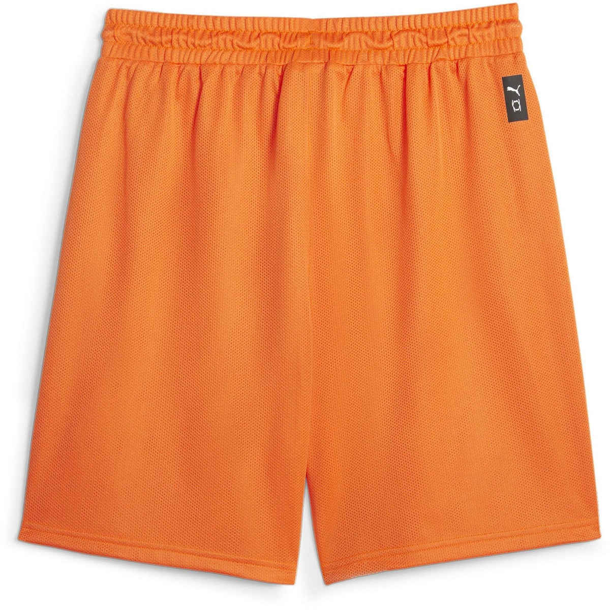 Puma Hoops Team Practice Basketball Shorts