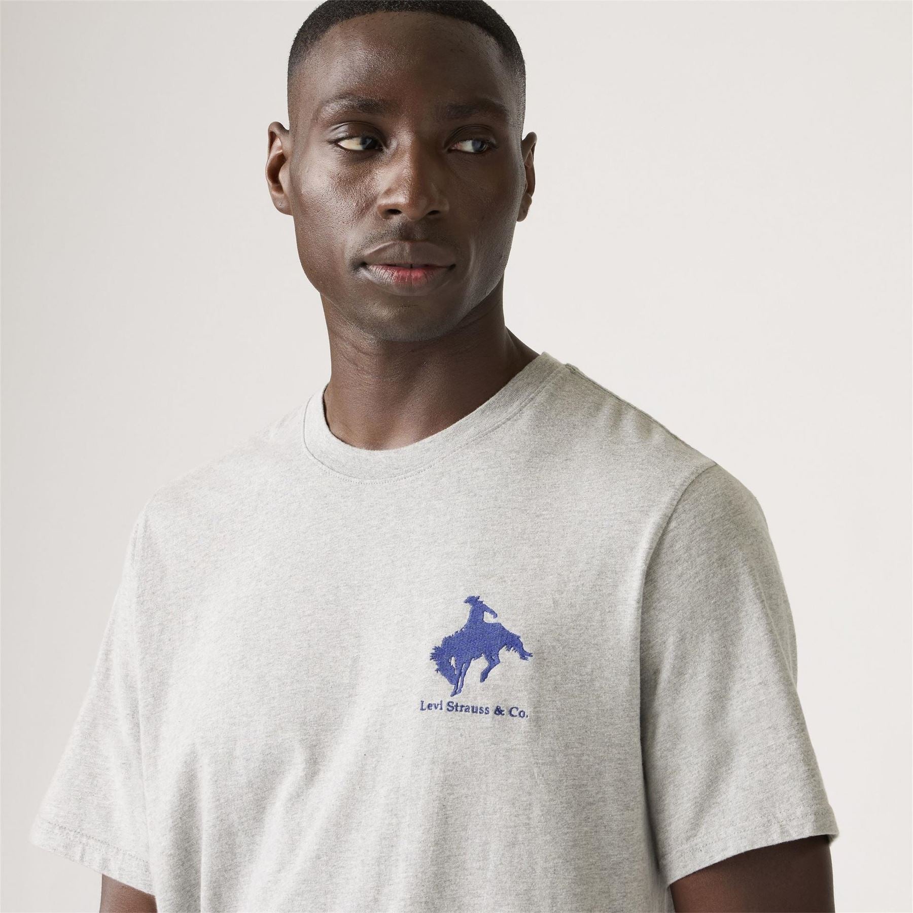 Levis Relaxed Fit T
