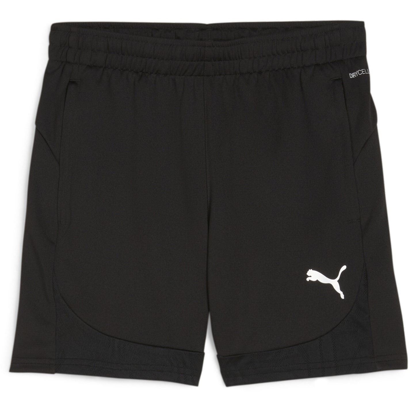 Puma Teamfinal Training Football Shorts