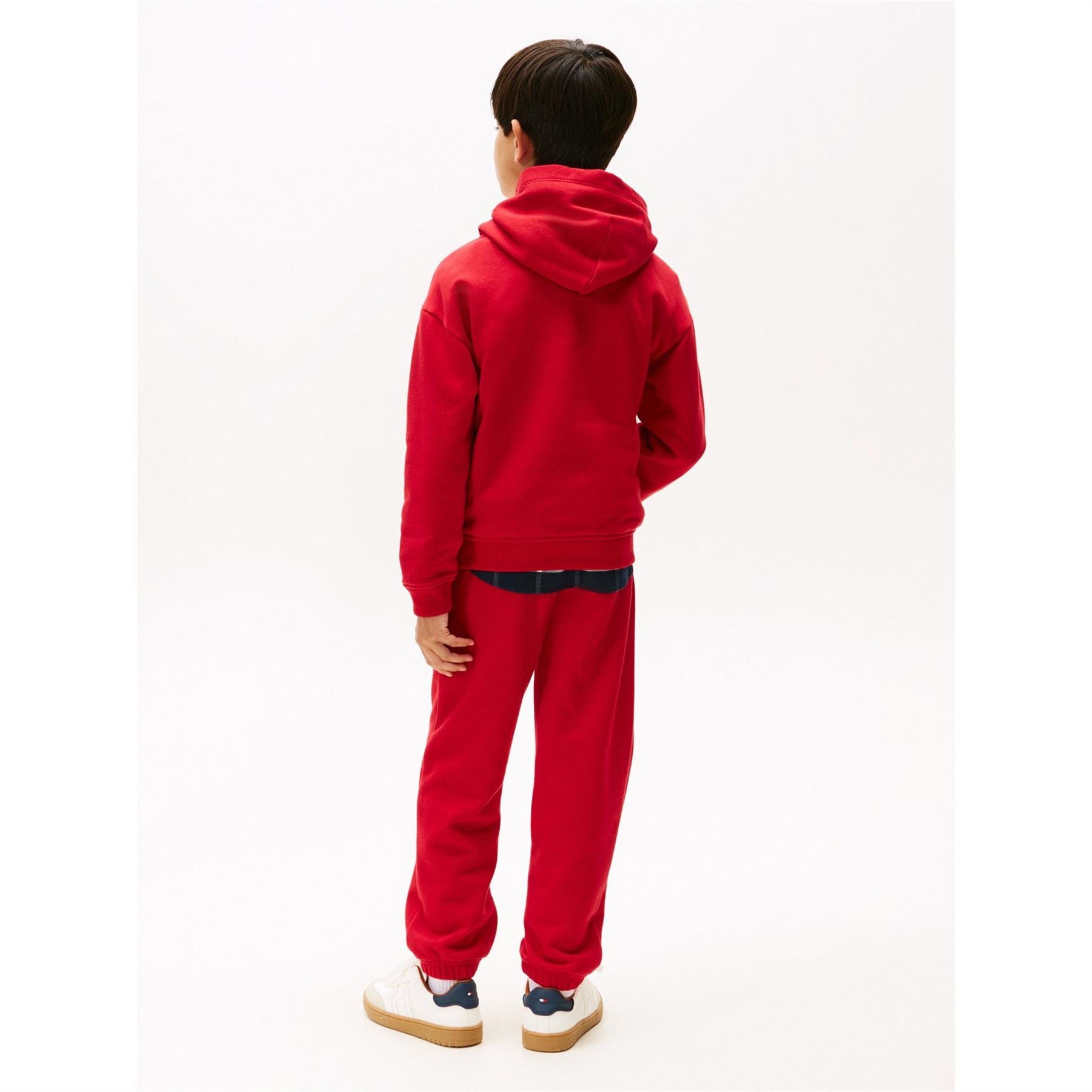 Tommy Hilfiger Flag Graphic Long Sleeve Sweatshirt