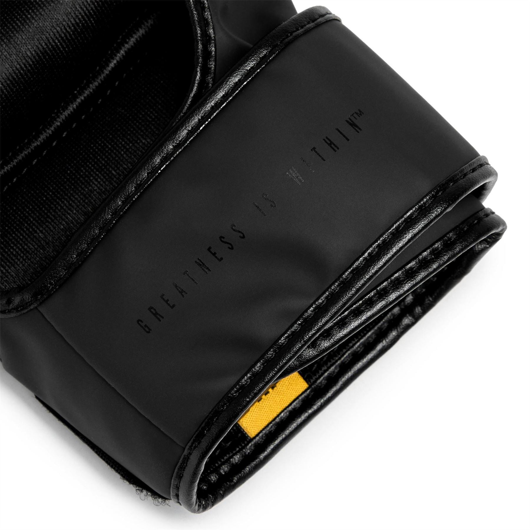 Everlast Mma Training Glove
