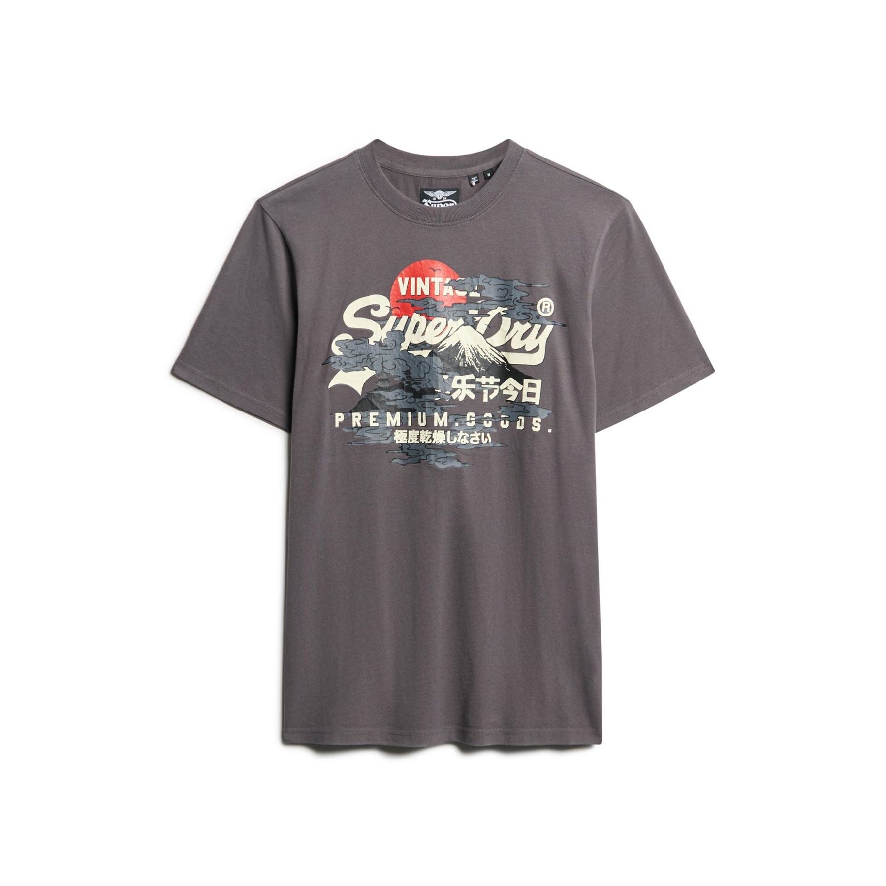 Superdry Tokyo Graphic Regular Fit T-Shirt