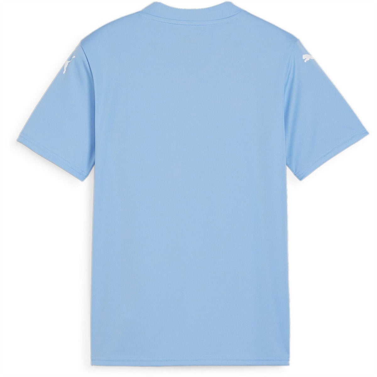 Puma Teamglory Jersey Jr T-Shirt Unisex Kids