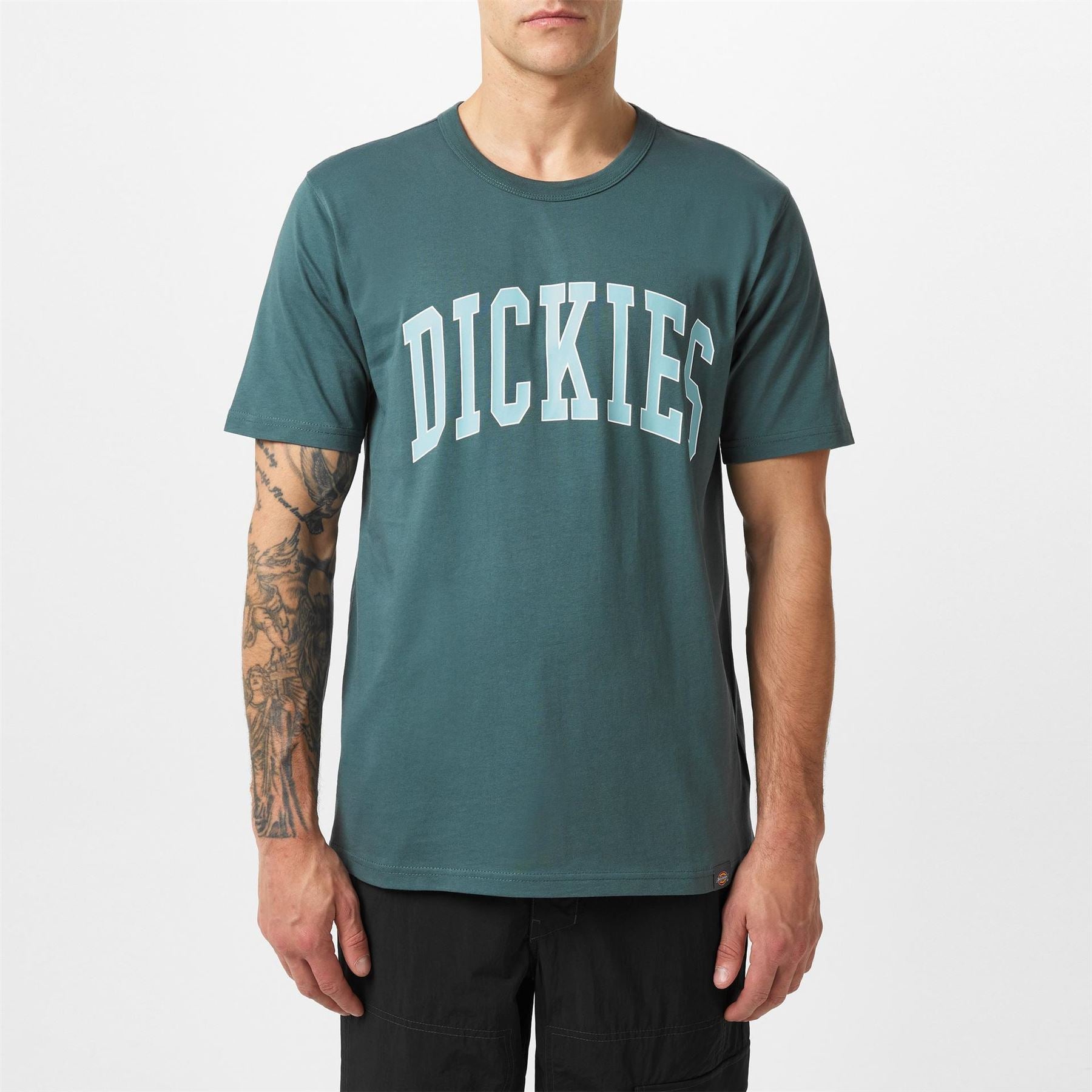 Dickies Aitkin Tee