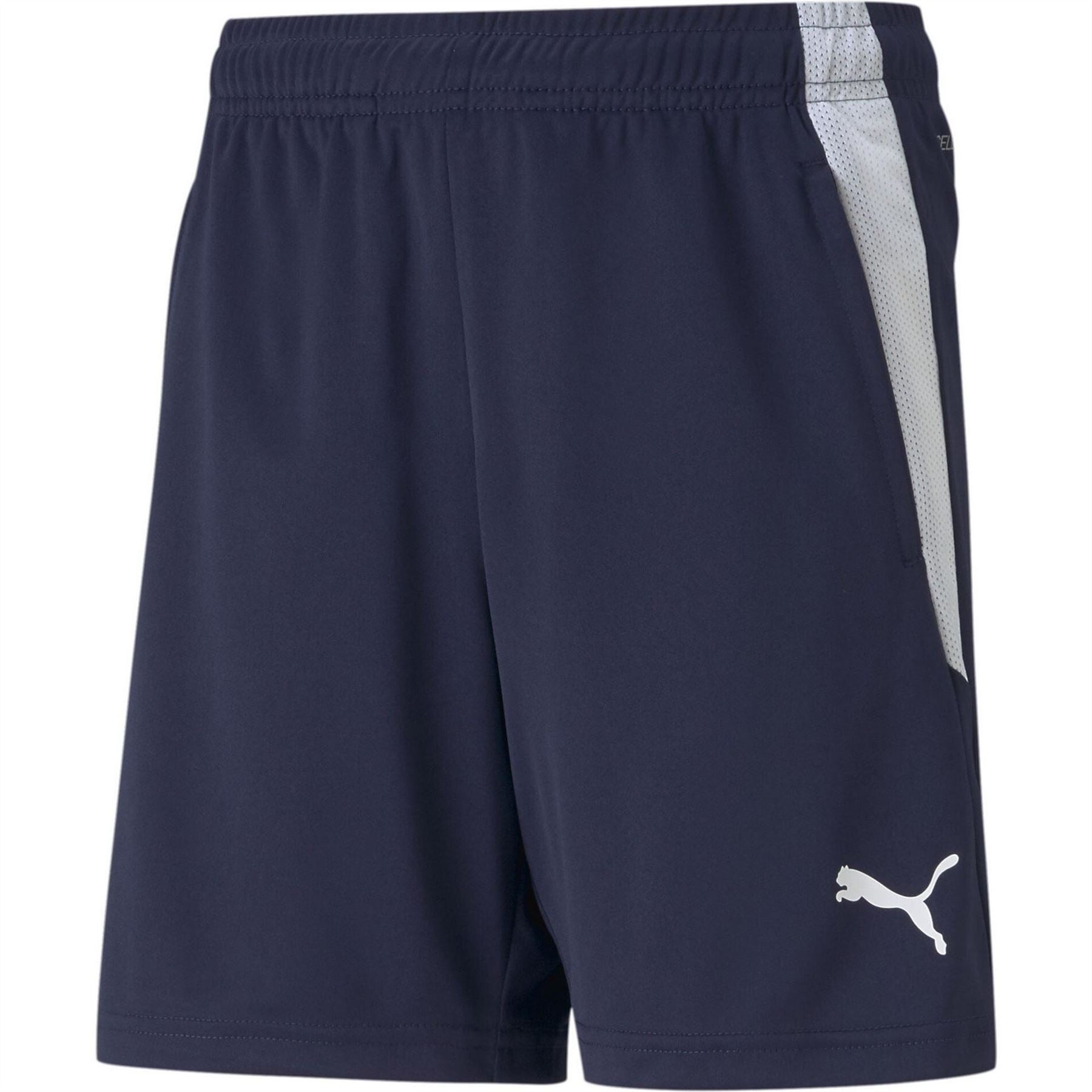 Puma Teamliga Training Shorts Jr Football Short Unisex Kids