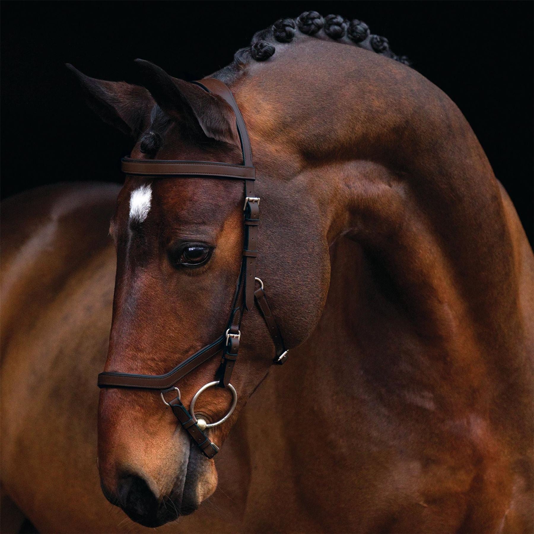 Rambo Micklem Original Competition Bridle