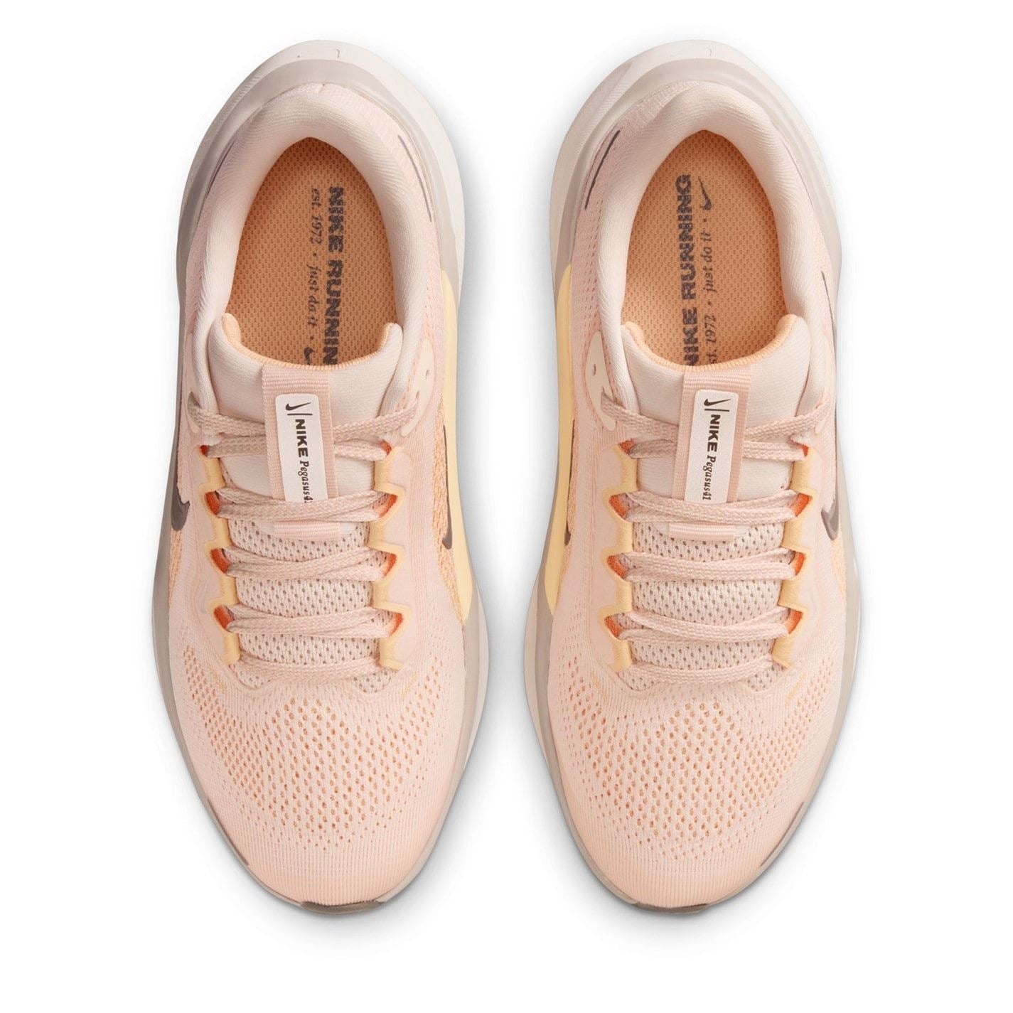 Nike Pegasus 41 Low Top Road Shoes