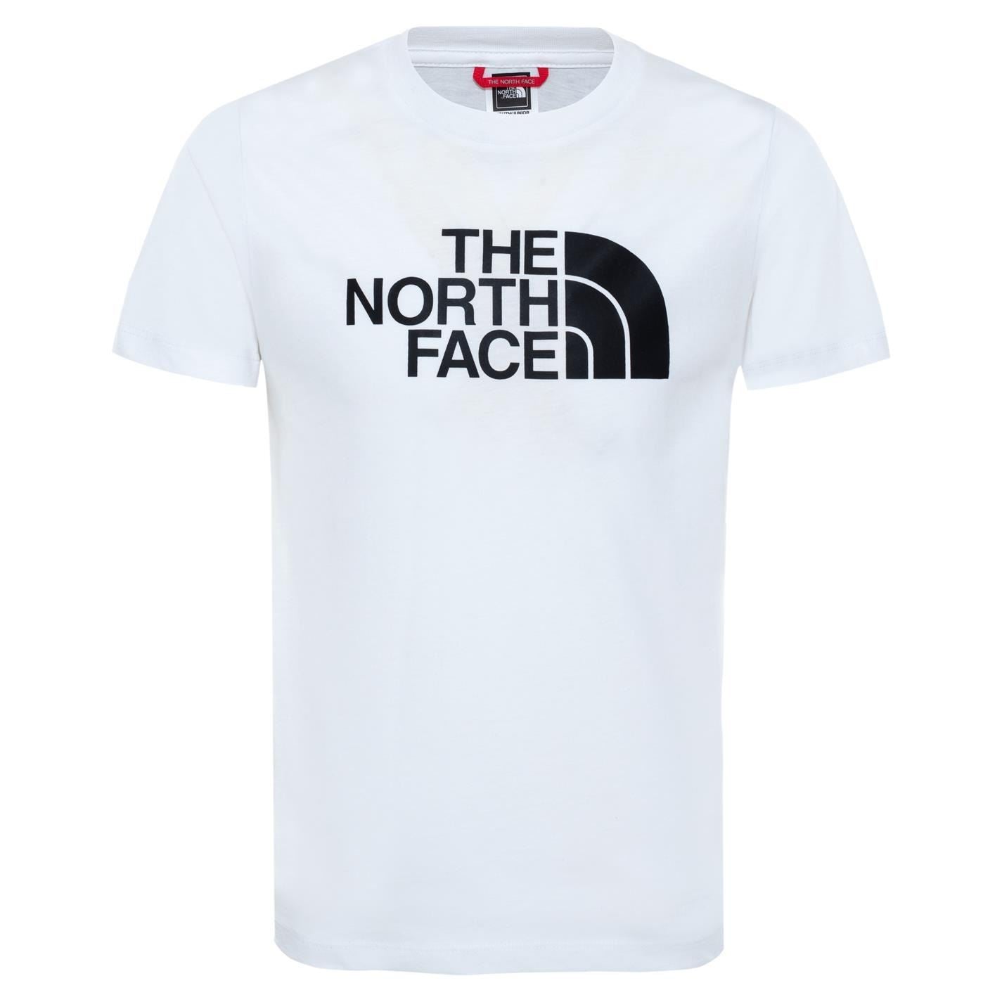 The North Face Logo T-Shirt