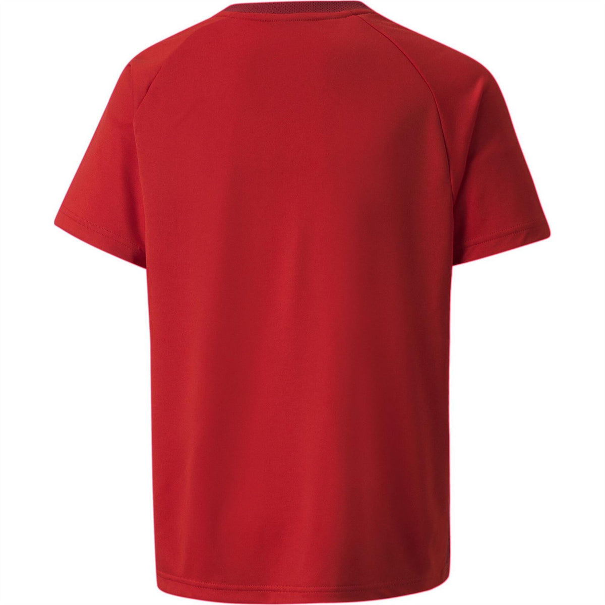 Puma Teamvision Jersey Jr T-Shirt Unisex Kids
