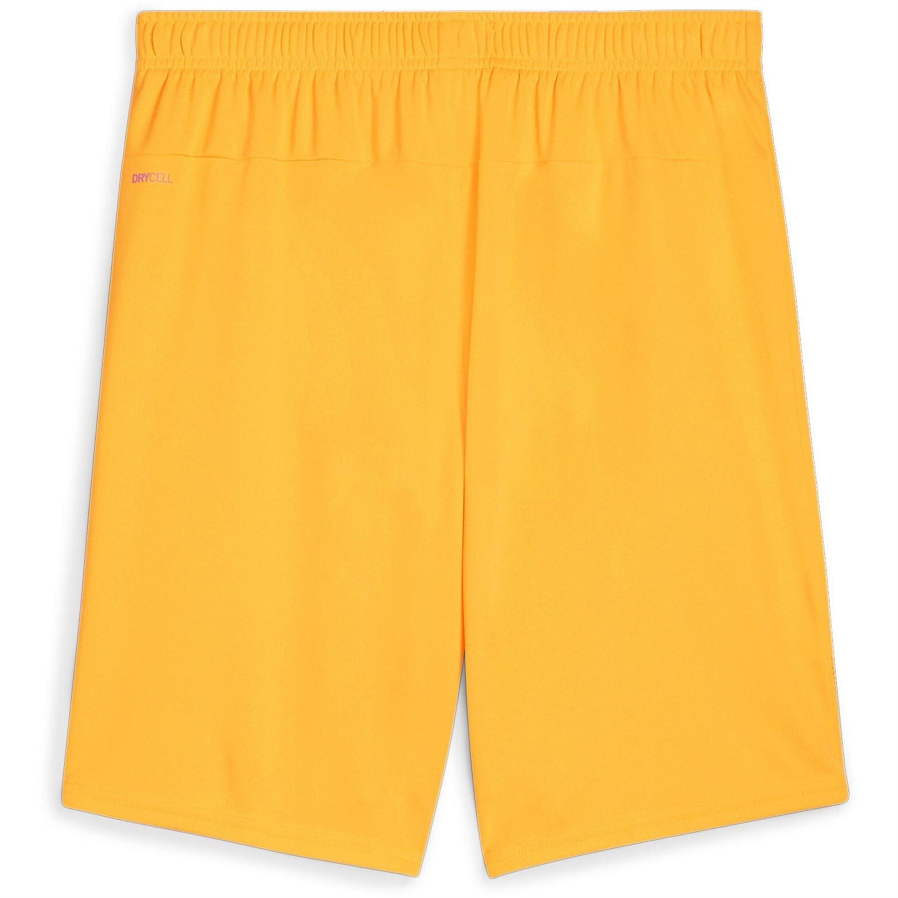 Puma Mens Teamgoal Shorts Football Shorts